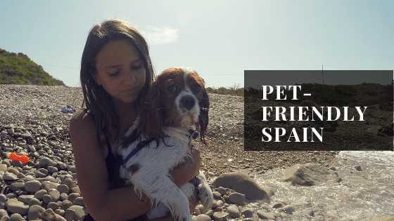 girl holding dog on beach with the caption pet friendly spain