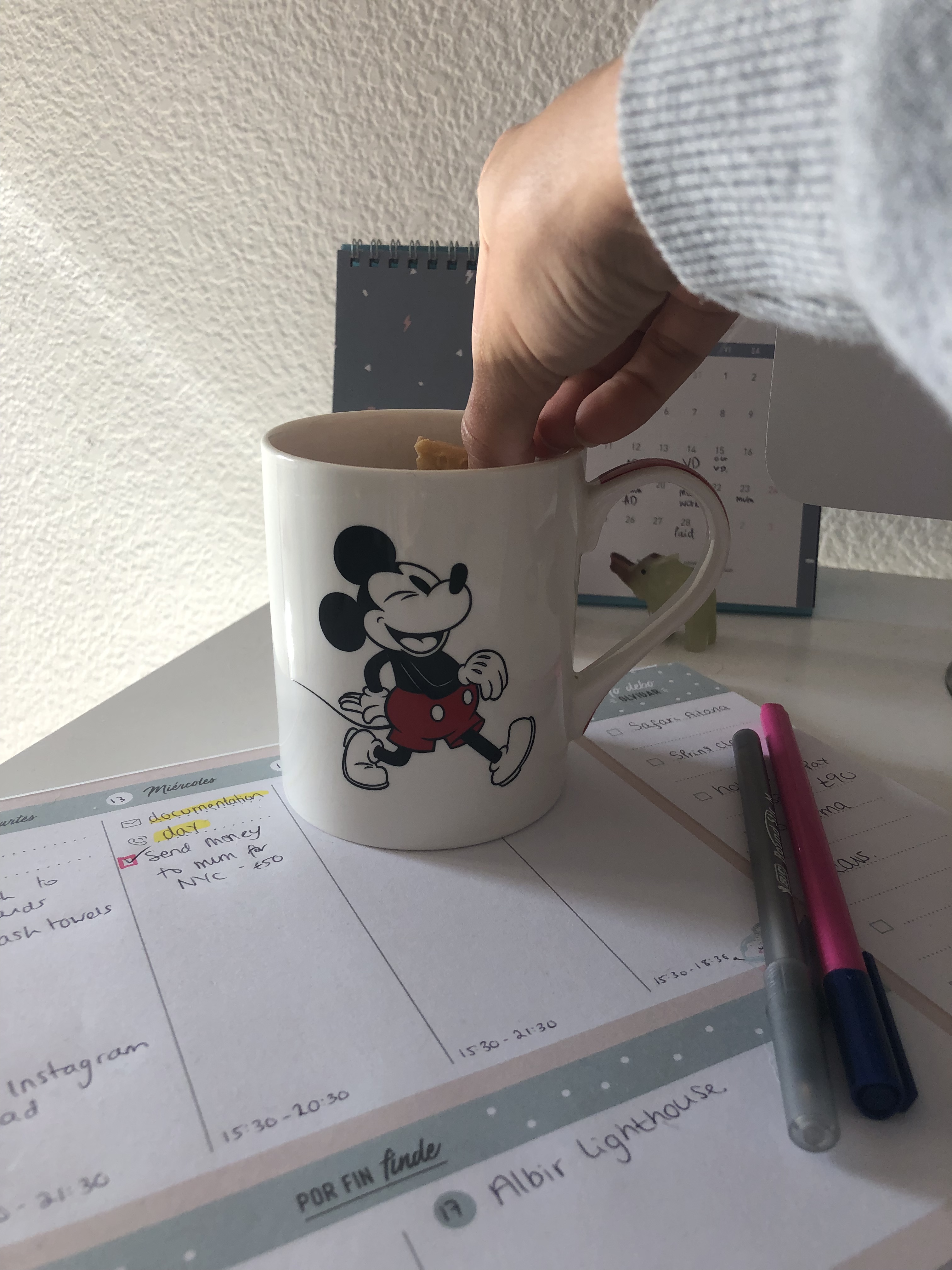 Cup of morning tea disney mug and mr wonderful planner 