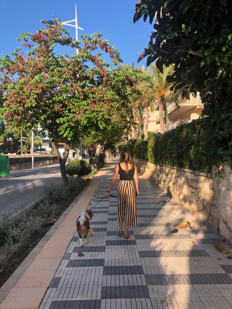 Walking the dog in Benidorm lockdown freedom 