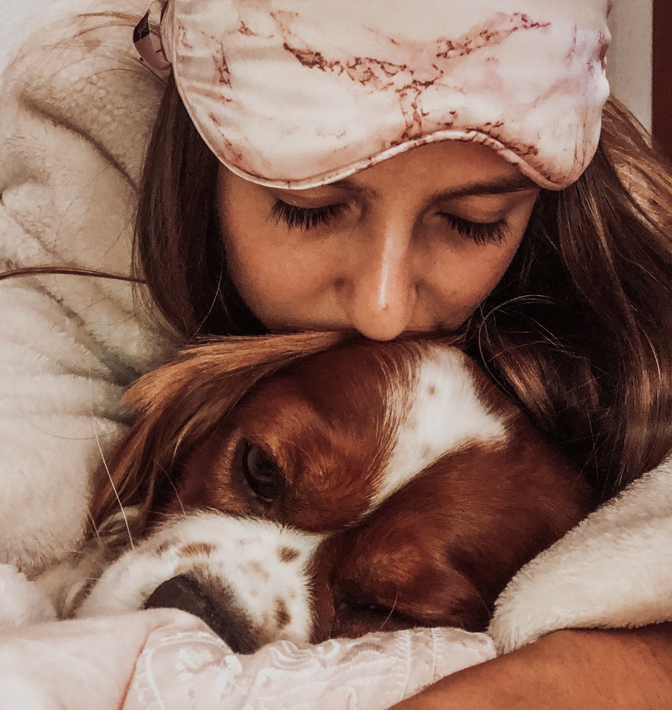 cuddling cavalier king charles spaniel slip