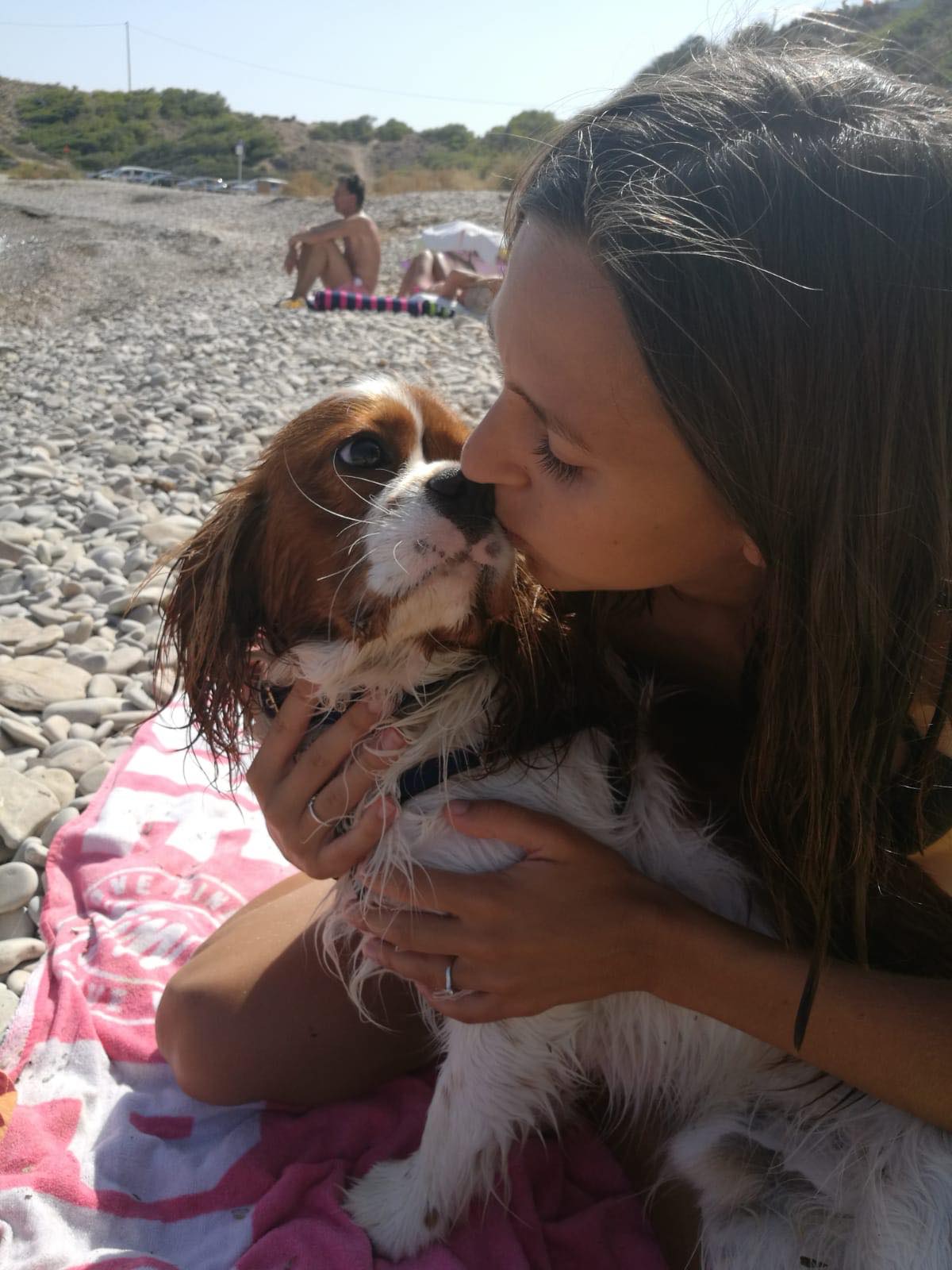 35988192_10156638286811133_5314155038111694848_n