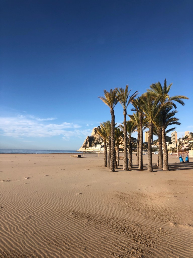 The gorgeous Benidorm beach 