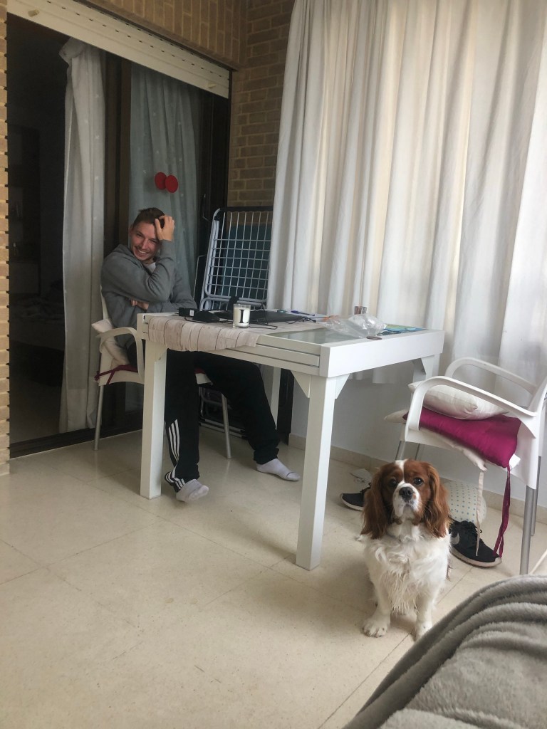 Stared at by dog and Alex 