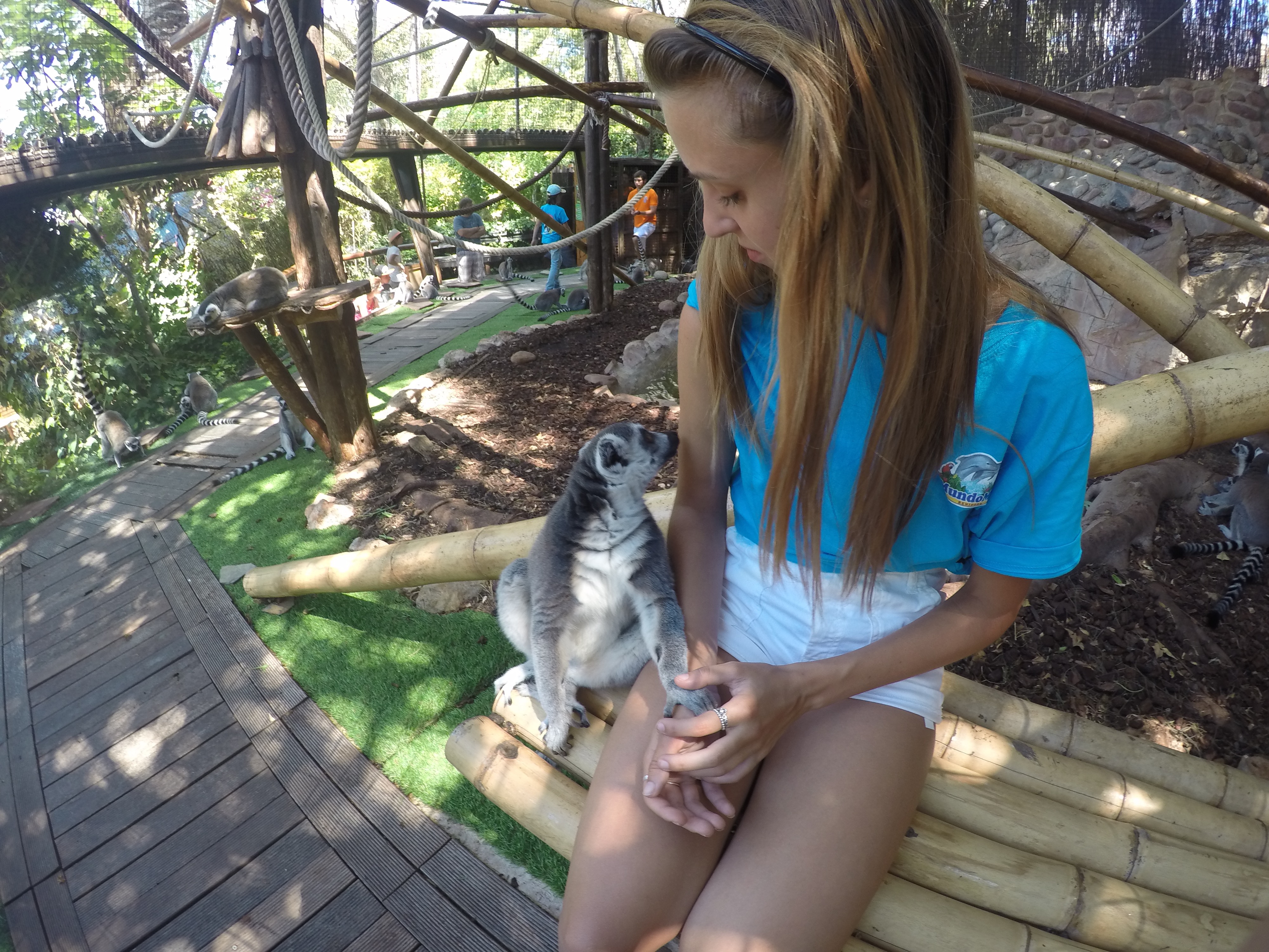 DCIM100GOPROGOPR0655.