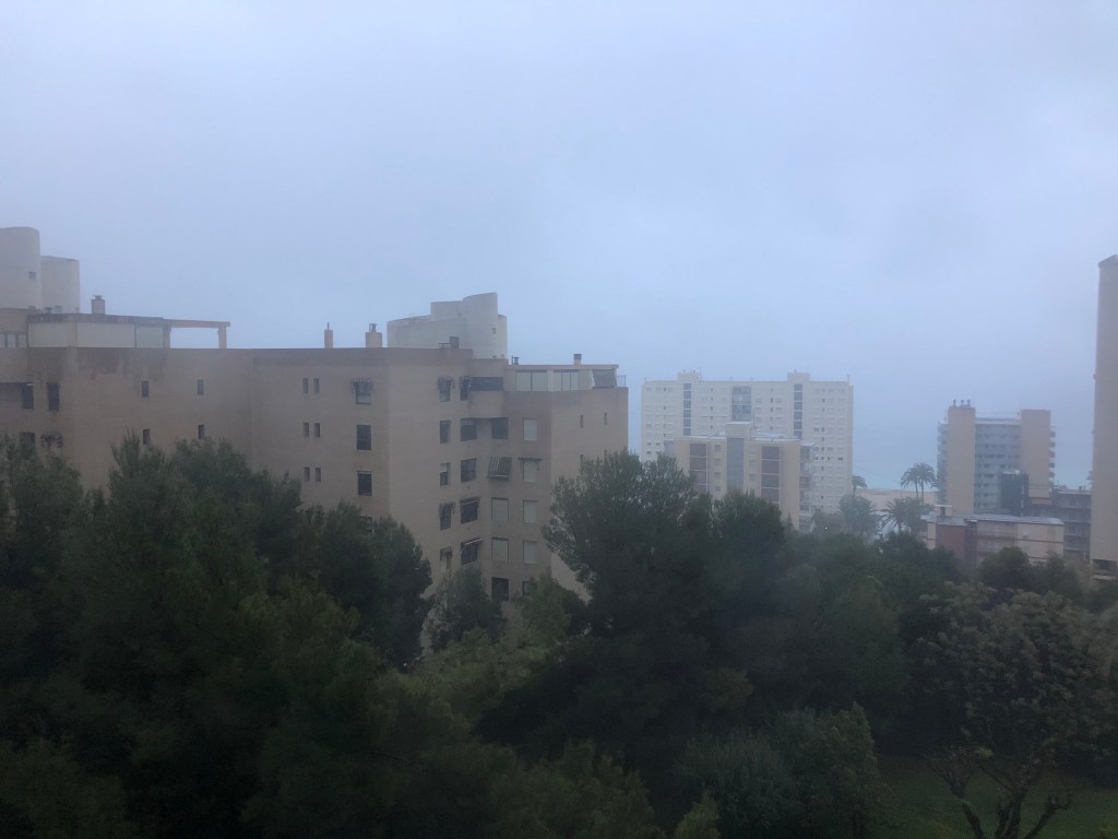 Isolation Diary: Day Twenty-Four in Spain&nbsp;Lockdown