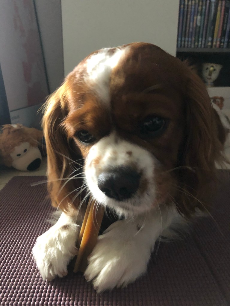 Rio cleaning in his teeth during Benidorm lockdown 