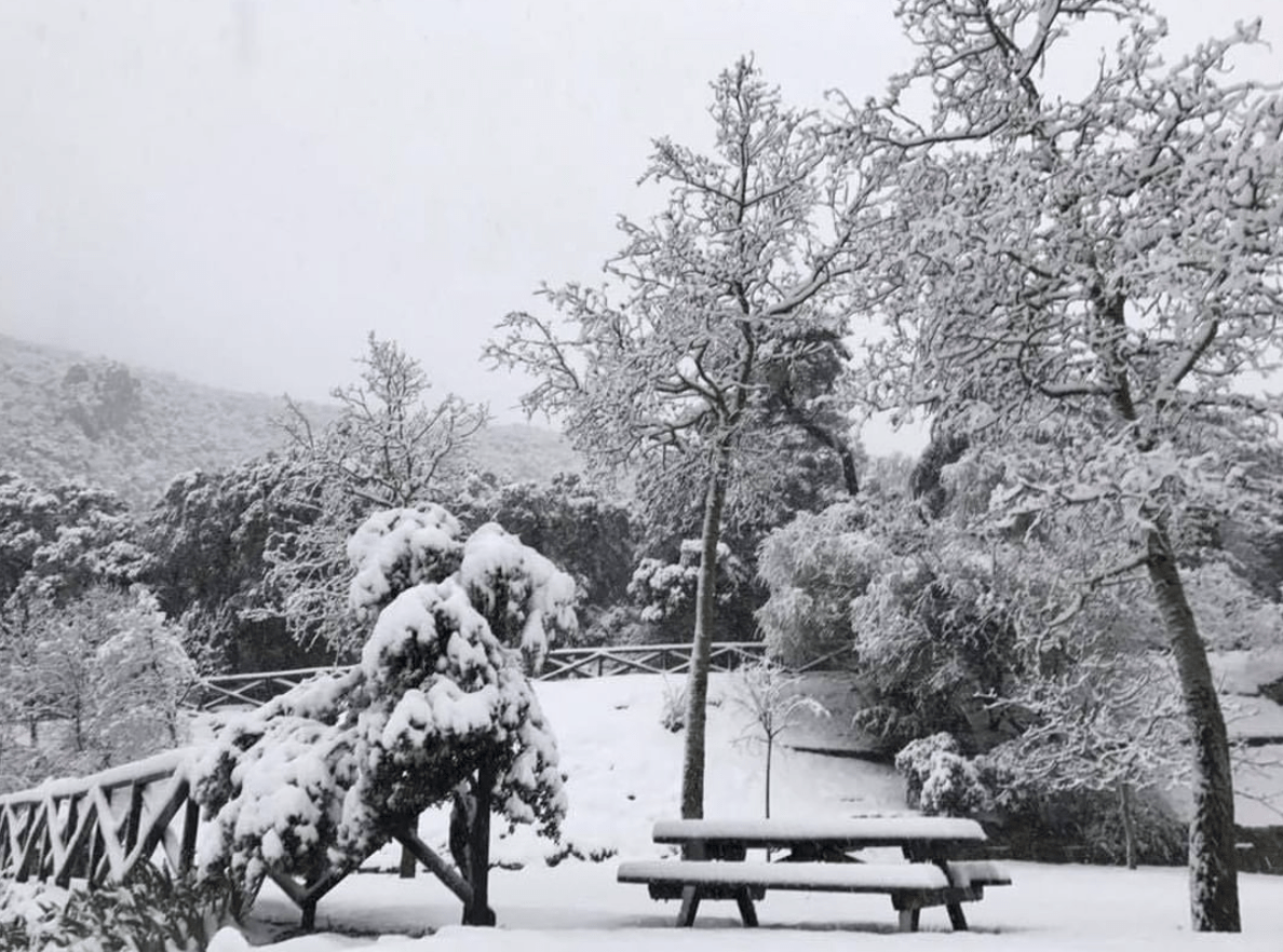 Screen Shot 2018-11-17 at 18.38.41.png