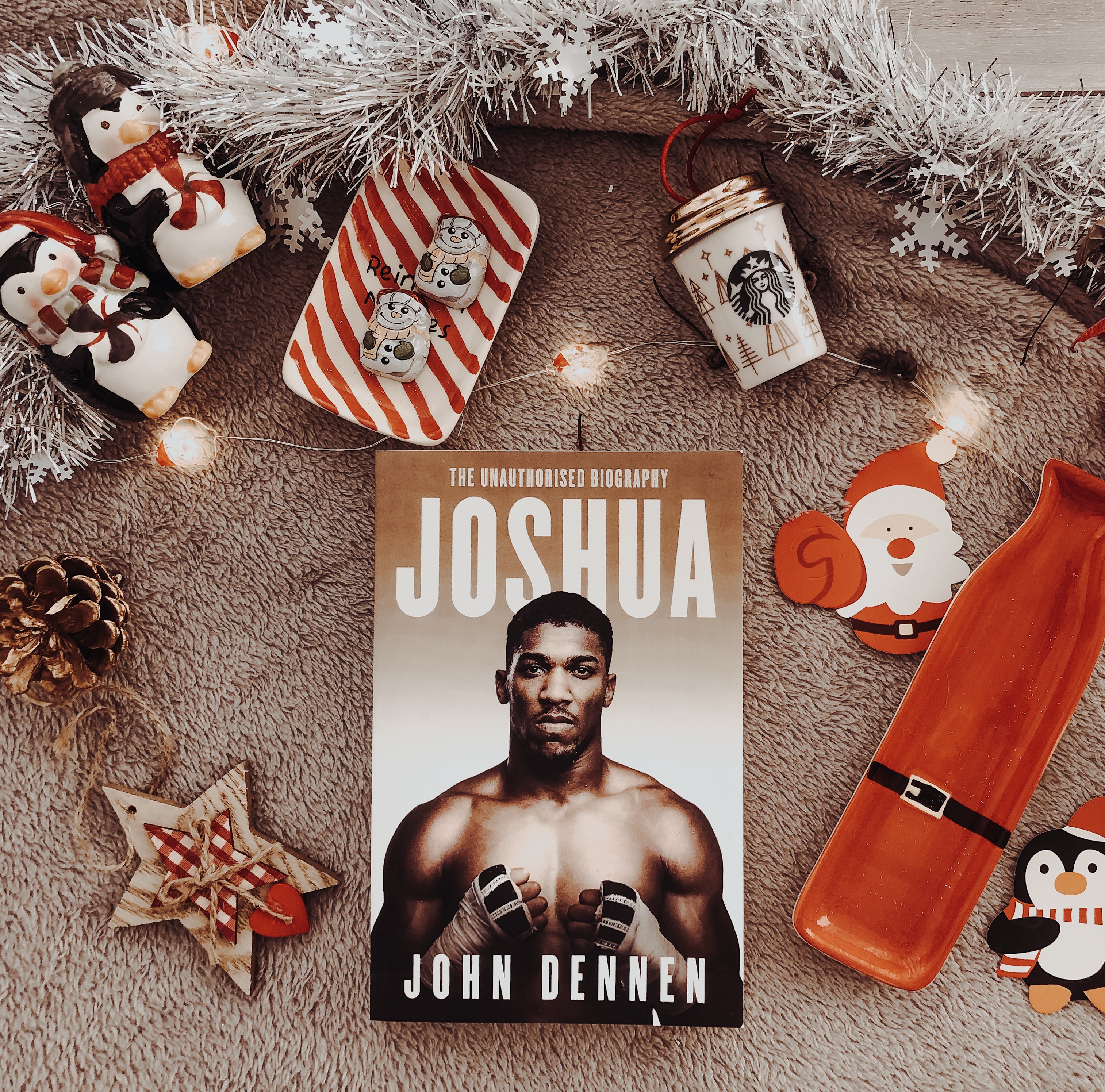 anthony joshua flatlay book christmas