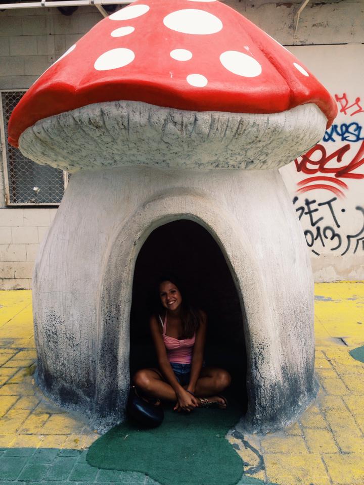 alicante mushroom street where is it