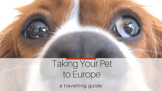 Visit Leicester-8.png