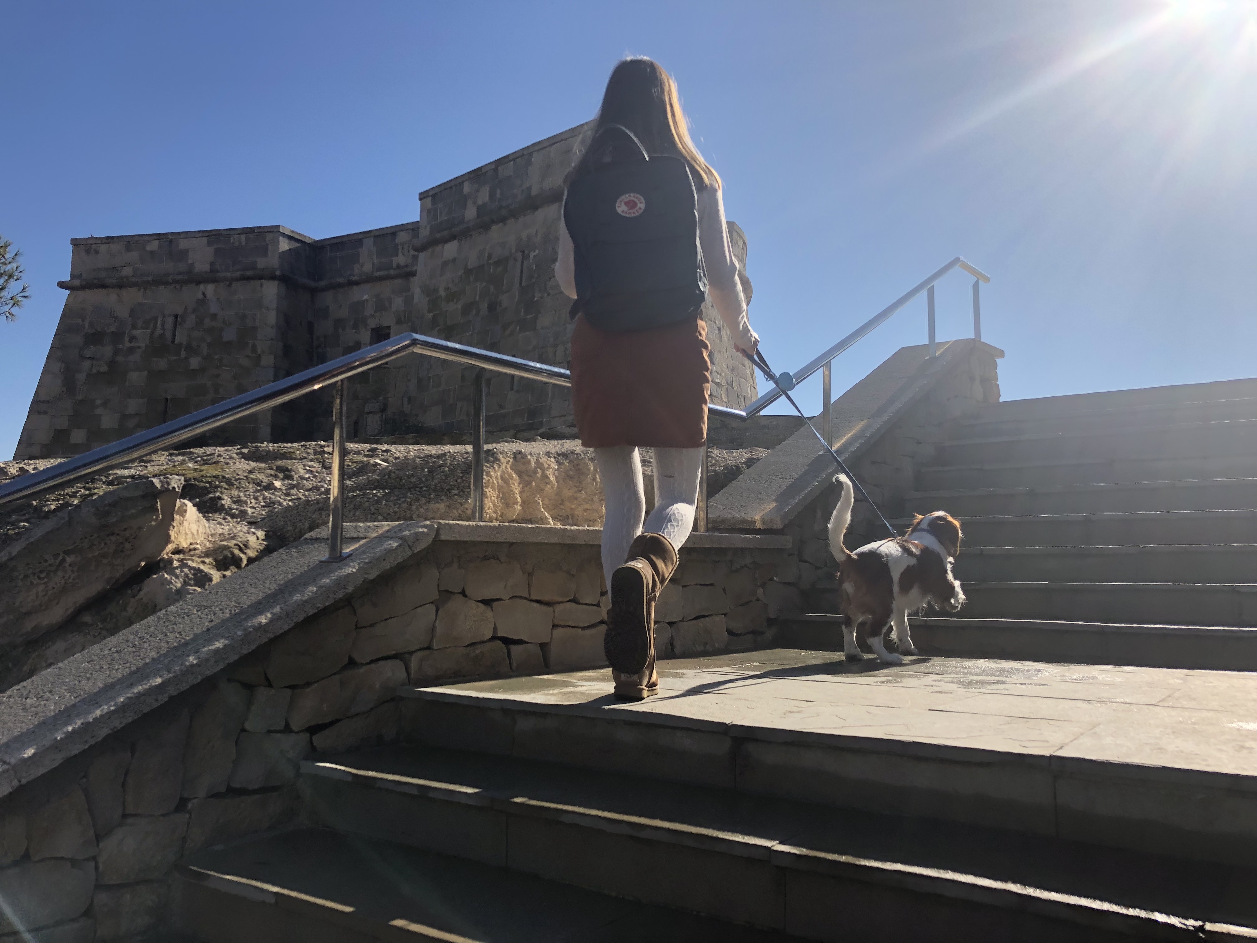 kånken backpack in moraira cavalier king charles spaniel