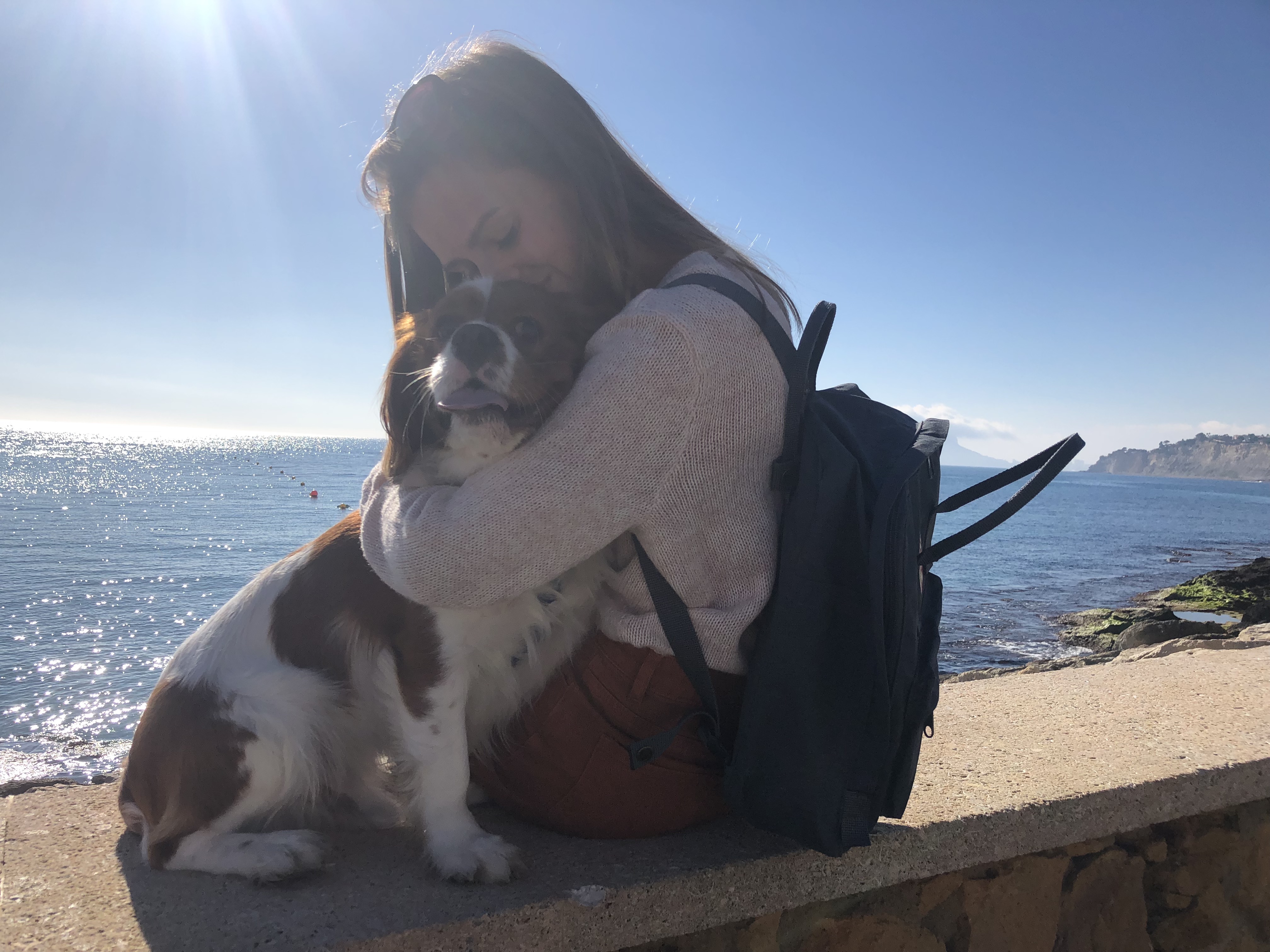 kånken backpack in moraira cavalier king charles spaniel cuddle