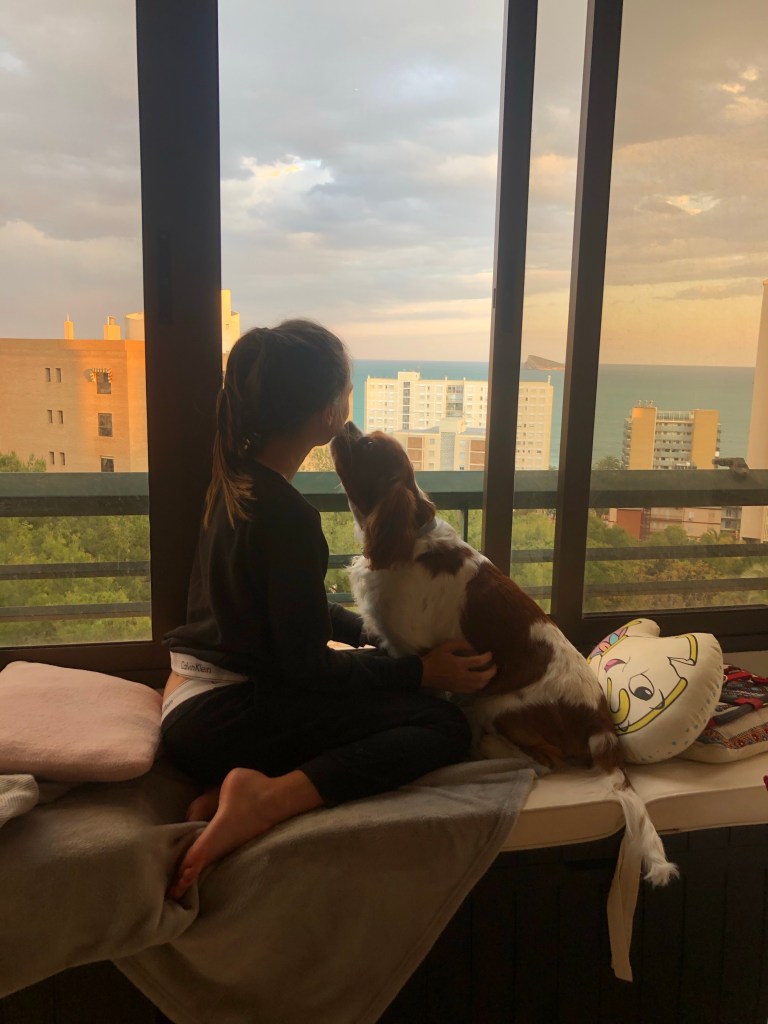 Watching the sunset with my dog