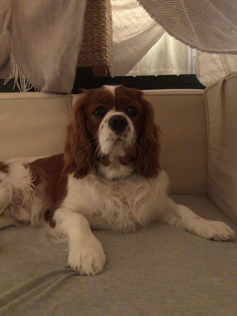 Rio in his lockdown fort