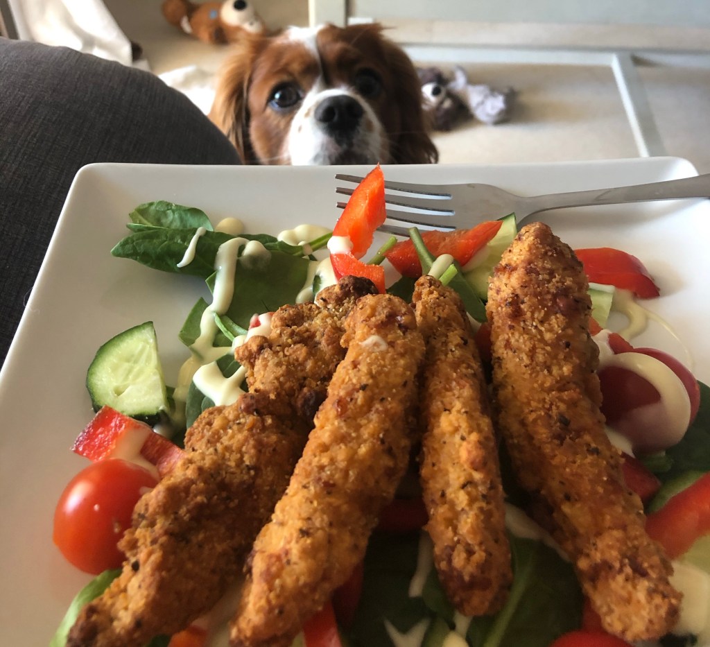 Chicken goujon salad and Rio watching 