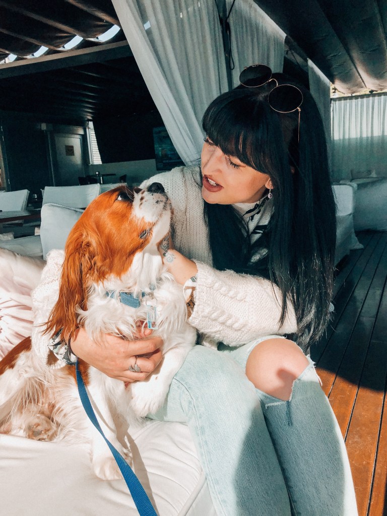 Cuddles with Rio the cavalier 