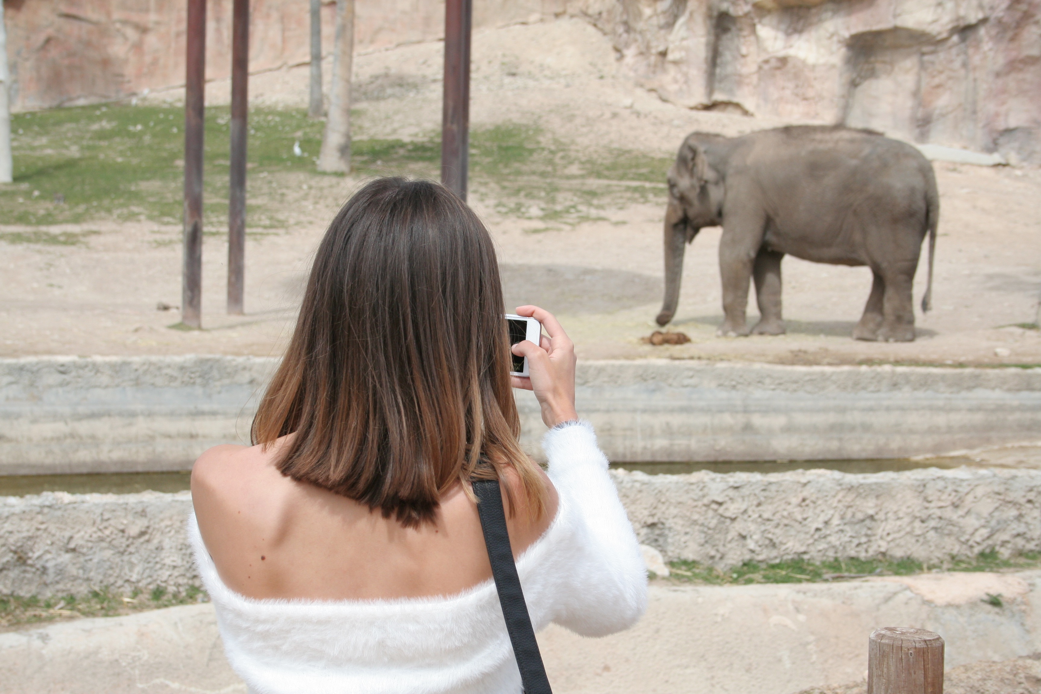 terra natura benidorm girl looking at elephant wearing white jumper from bershka