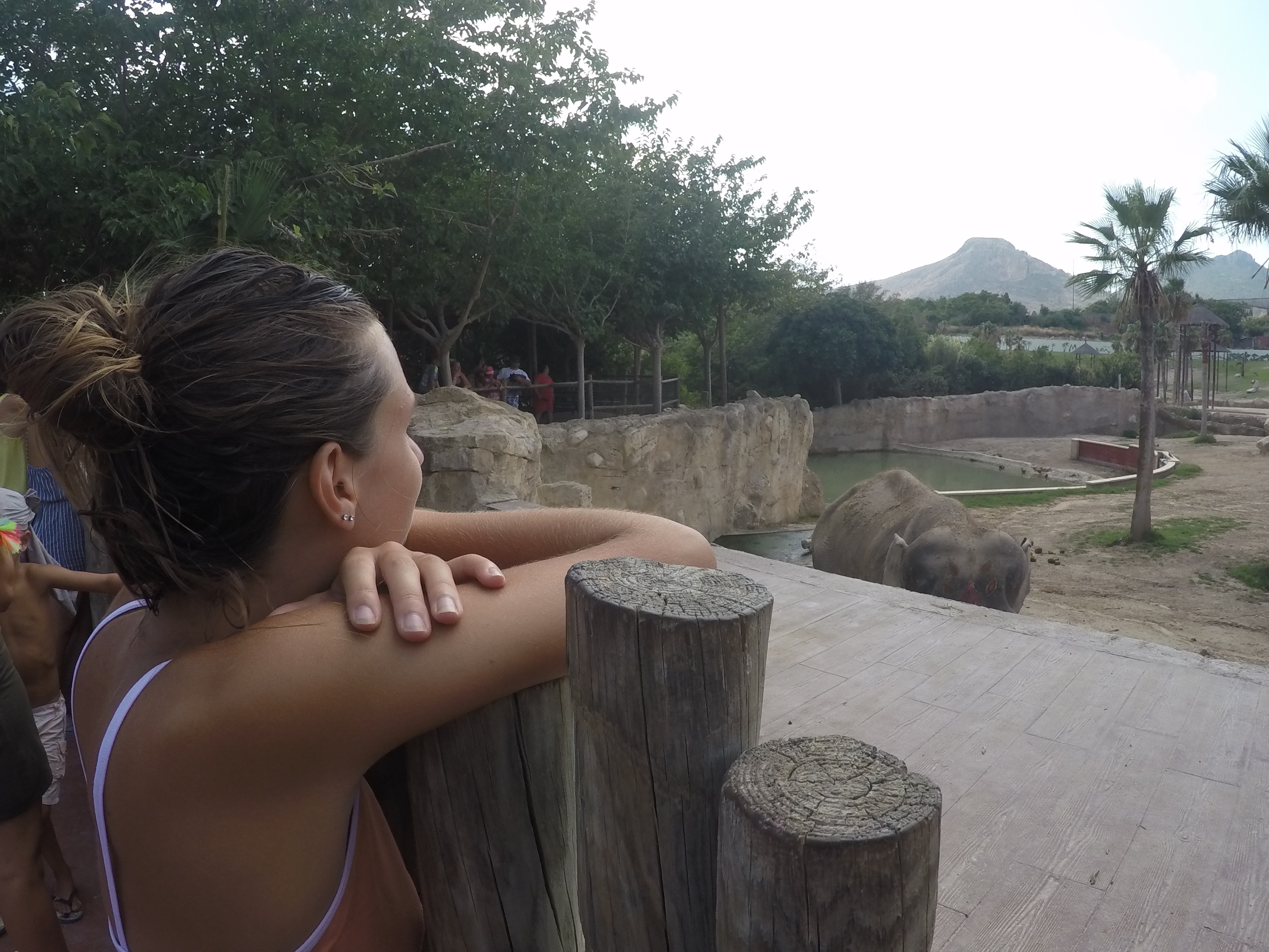 DCIM101GOPROGOPR2529.