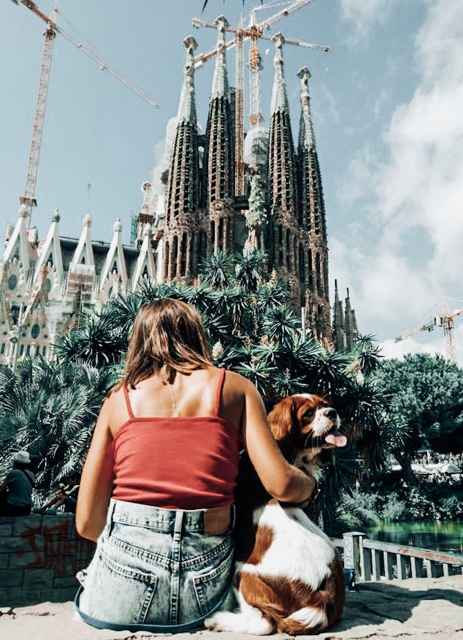 august 2018 1se my year in review cavalier king charles spaniel travelling to sagrada familia barcelona
