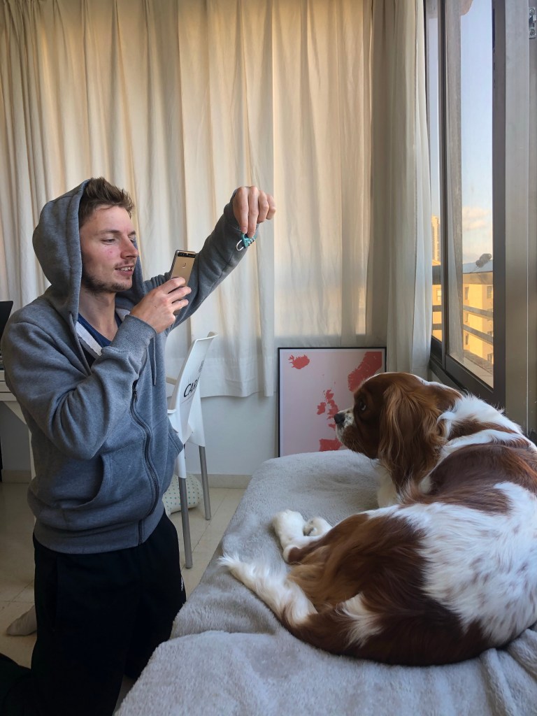 Alex doing a lockdown photography challenge with cavalier King Charles dog taking photo of dog in lock 