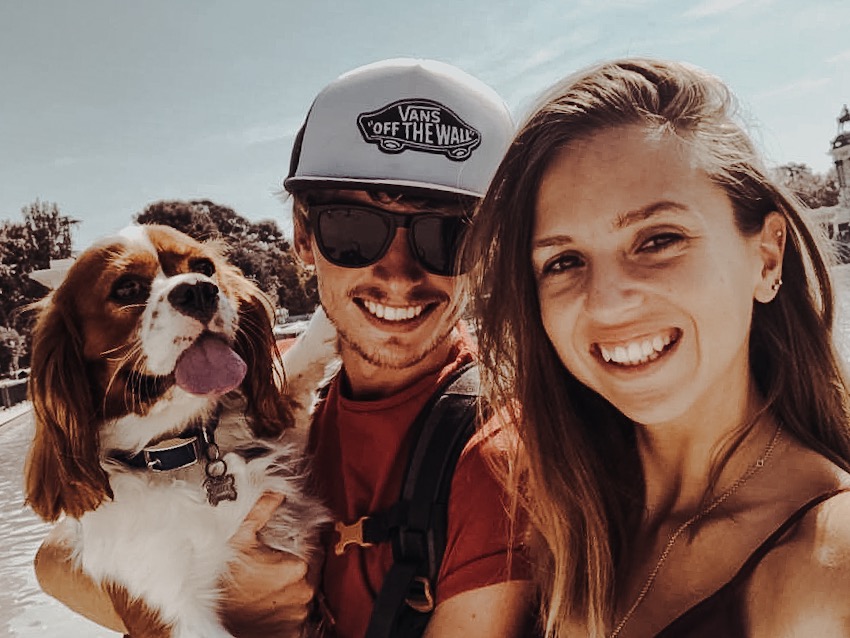 madrid with travelling dog cavalier king charles spaniel august 2018 my year in review 1se