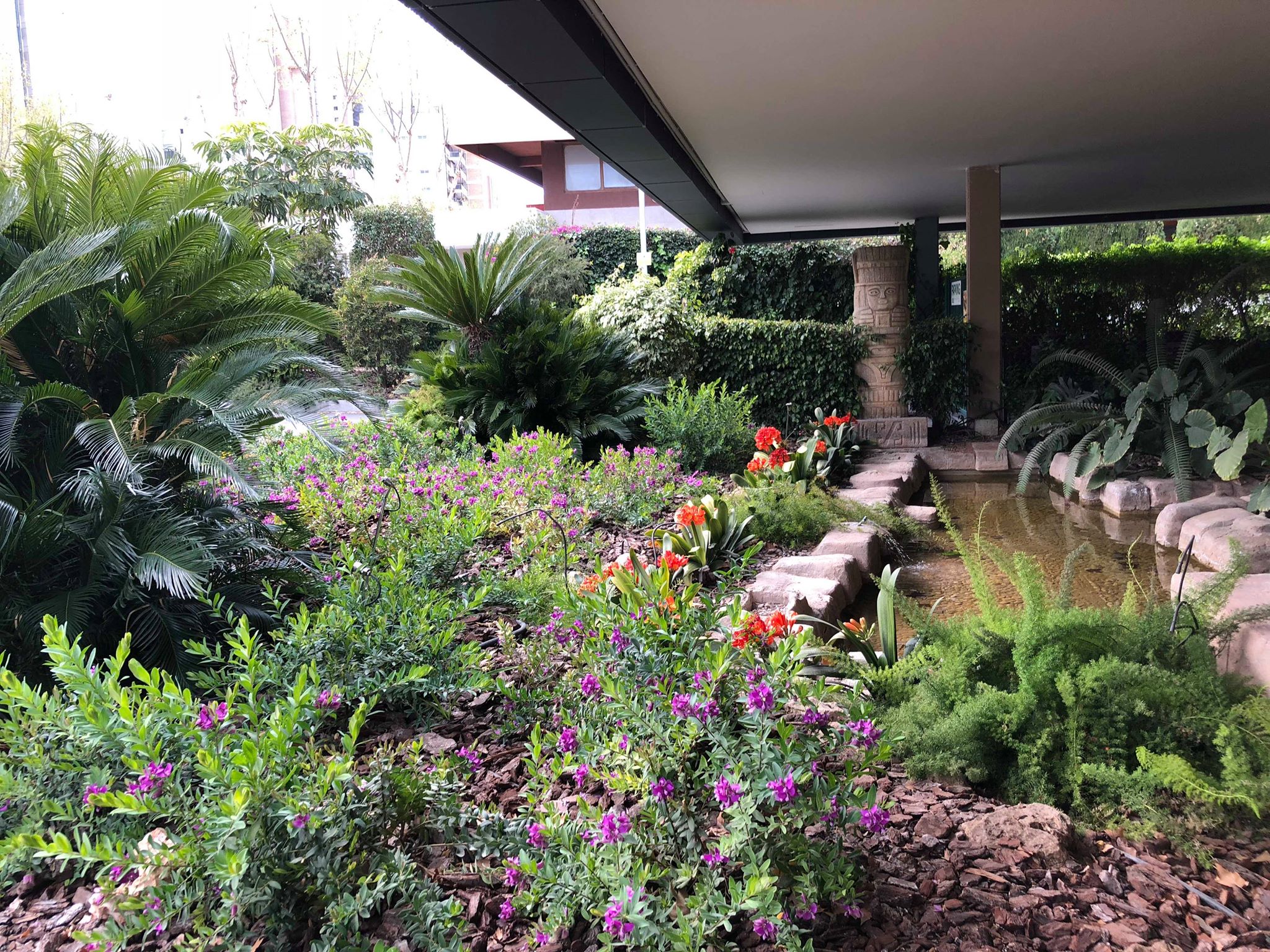 29831100_10156400274836133_858550633_o