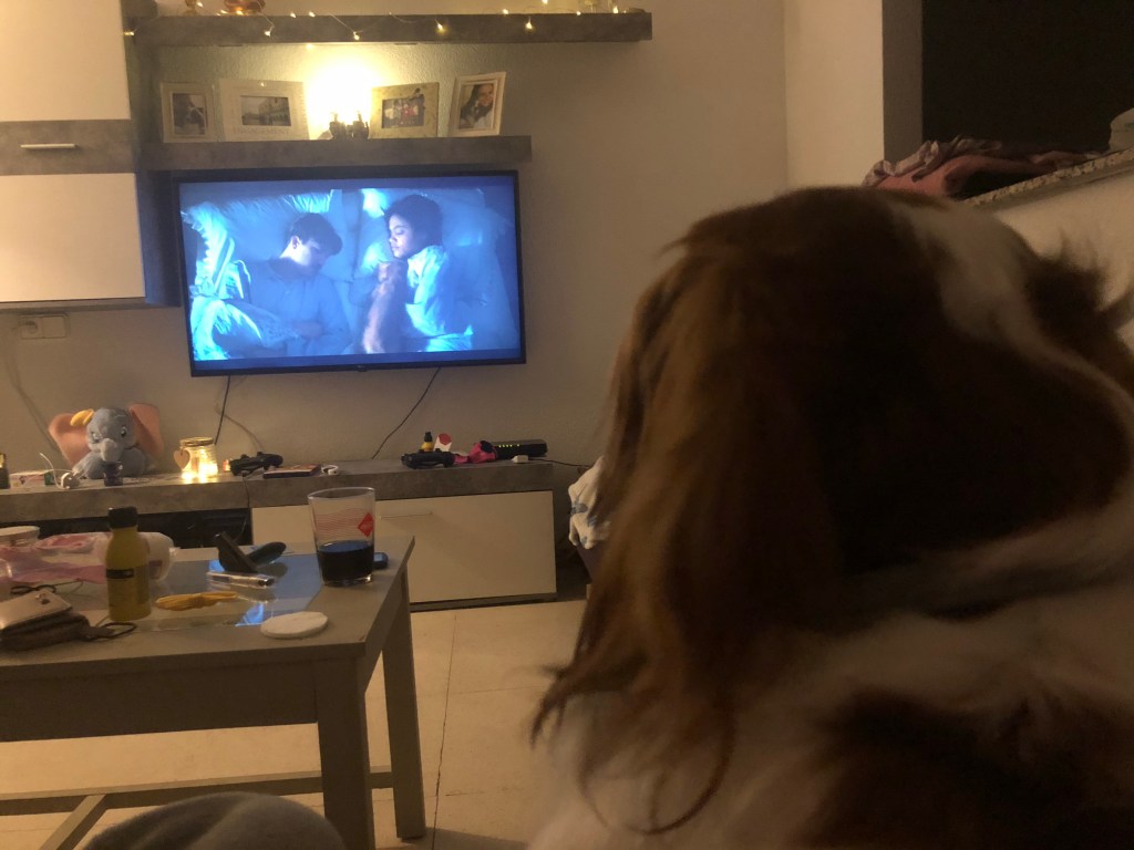 Rio watching lady and the tramp Disney plus 
