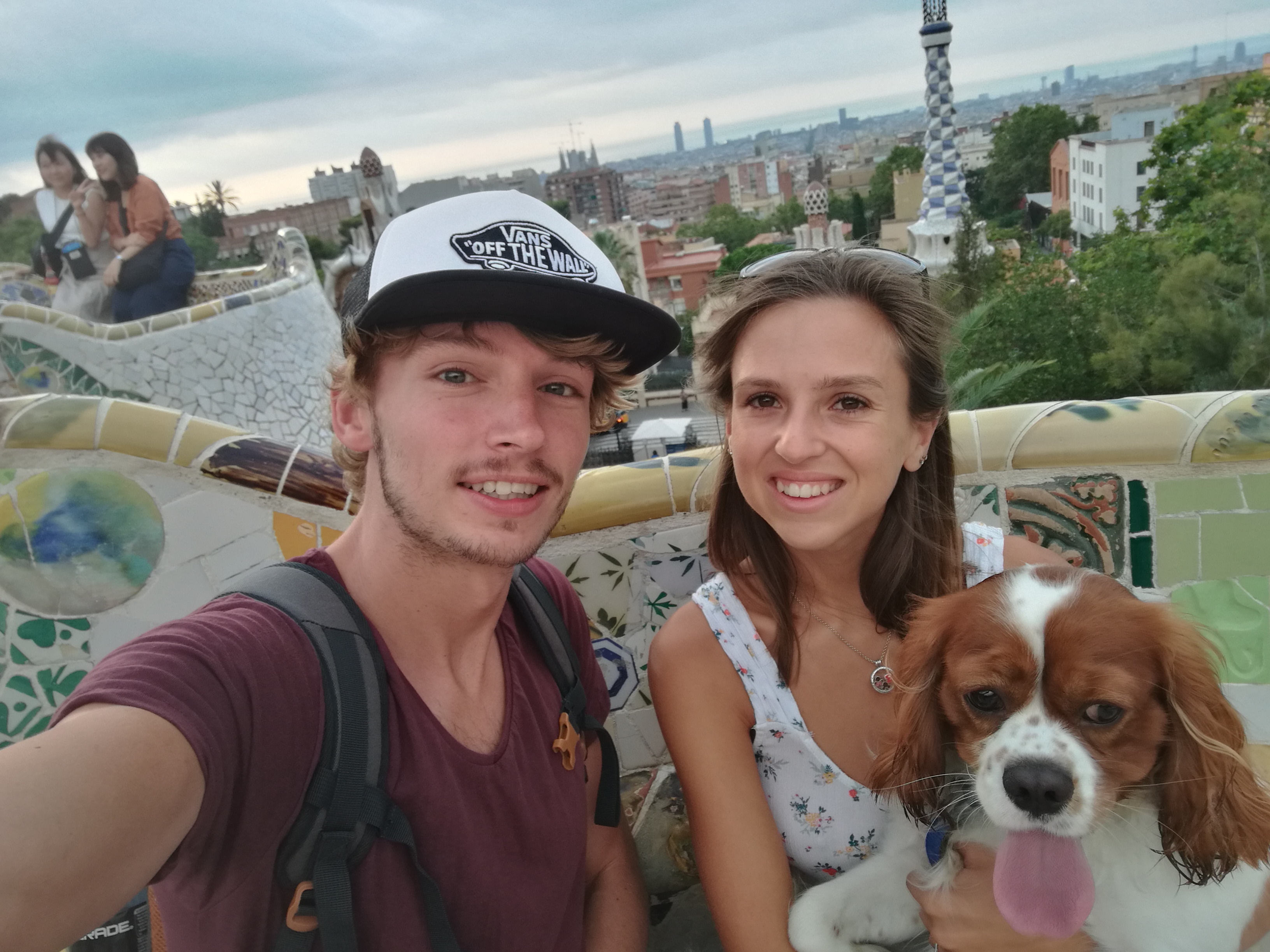 king cavalier spaniel rio travel dog park guell dog friendly travelling with a dog barcelona spain