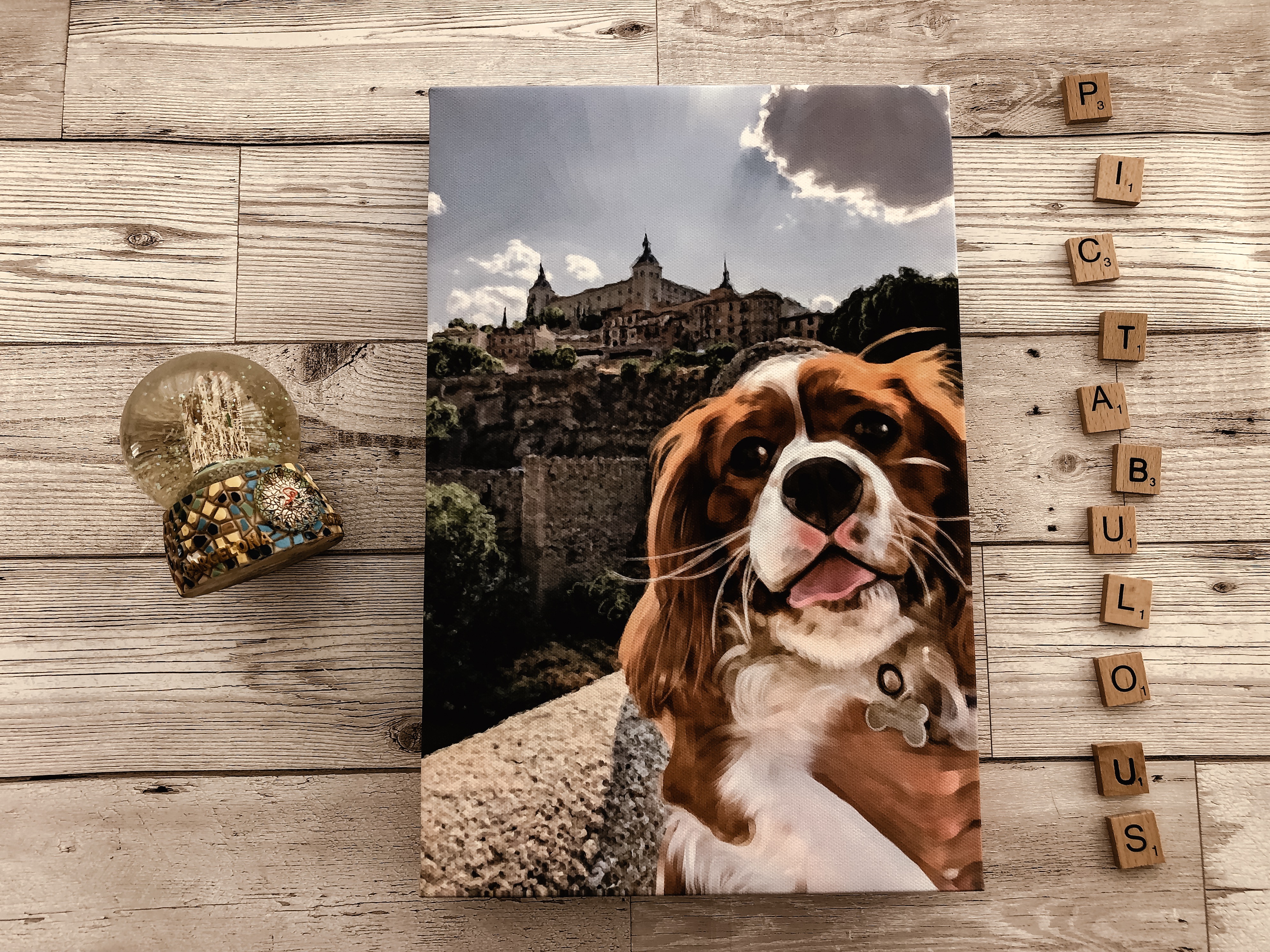 pictabulous photo canvas cavalier king charles review canvas print