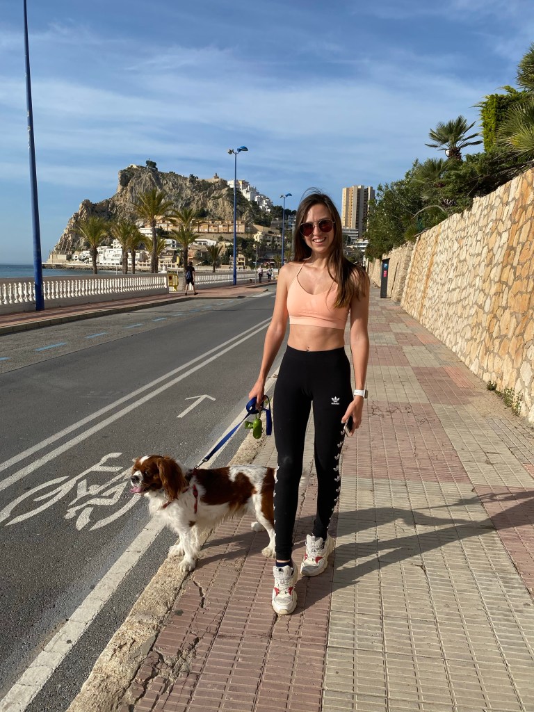 Poniente walk with cavalier King Charles spaniel 