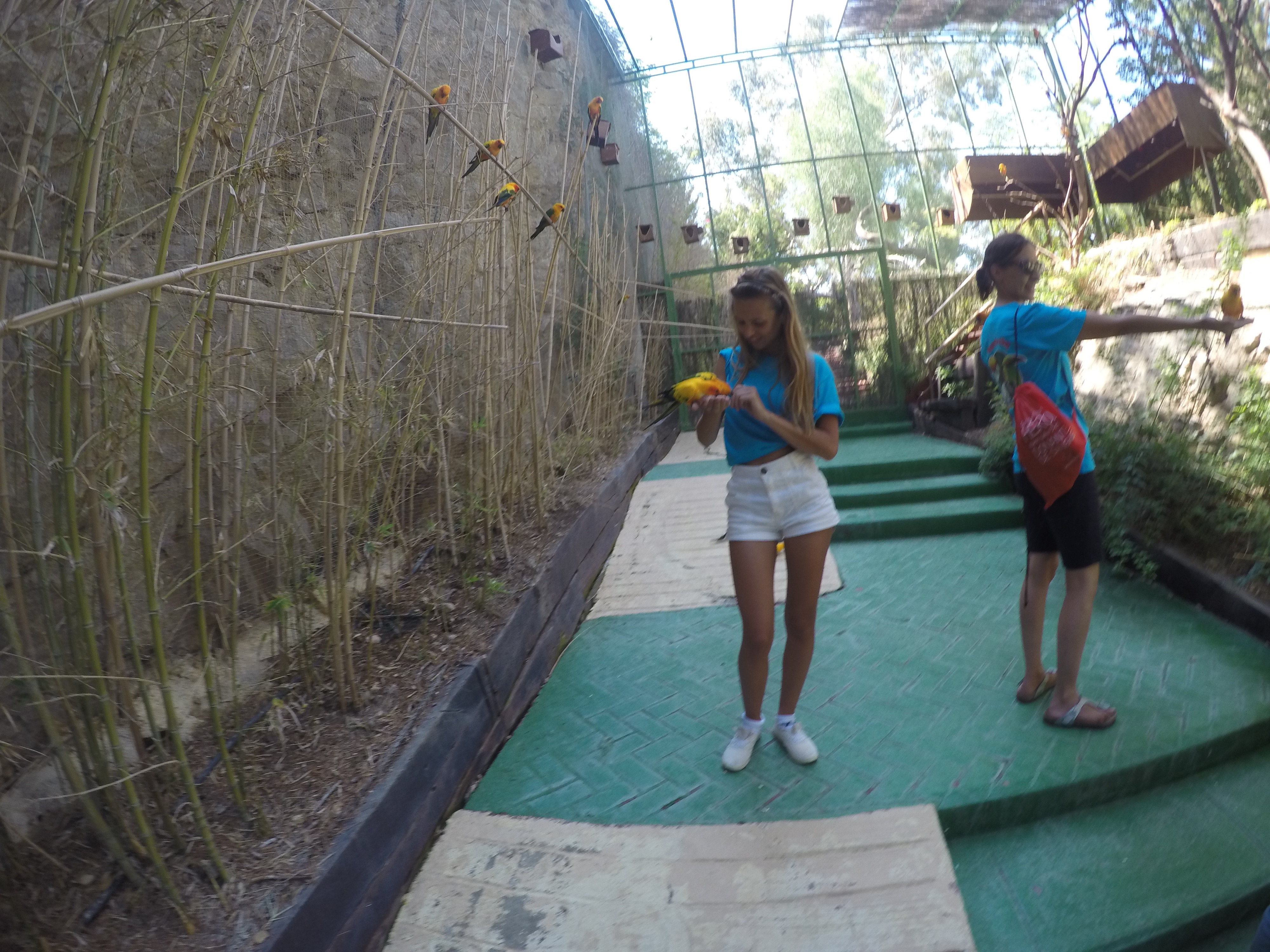 DCIM100GOPROGOPR0587.