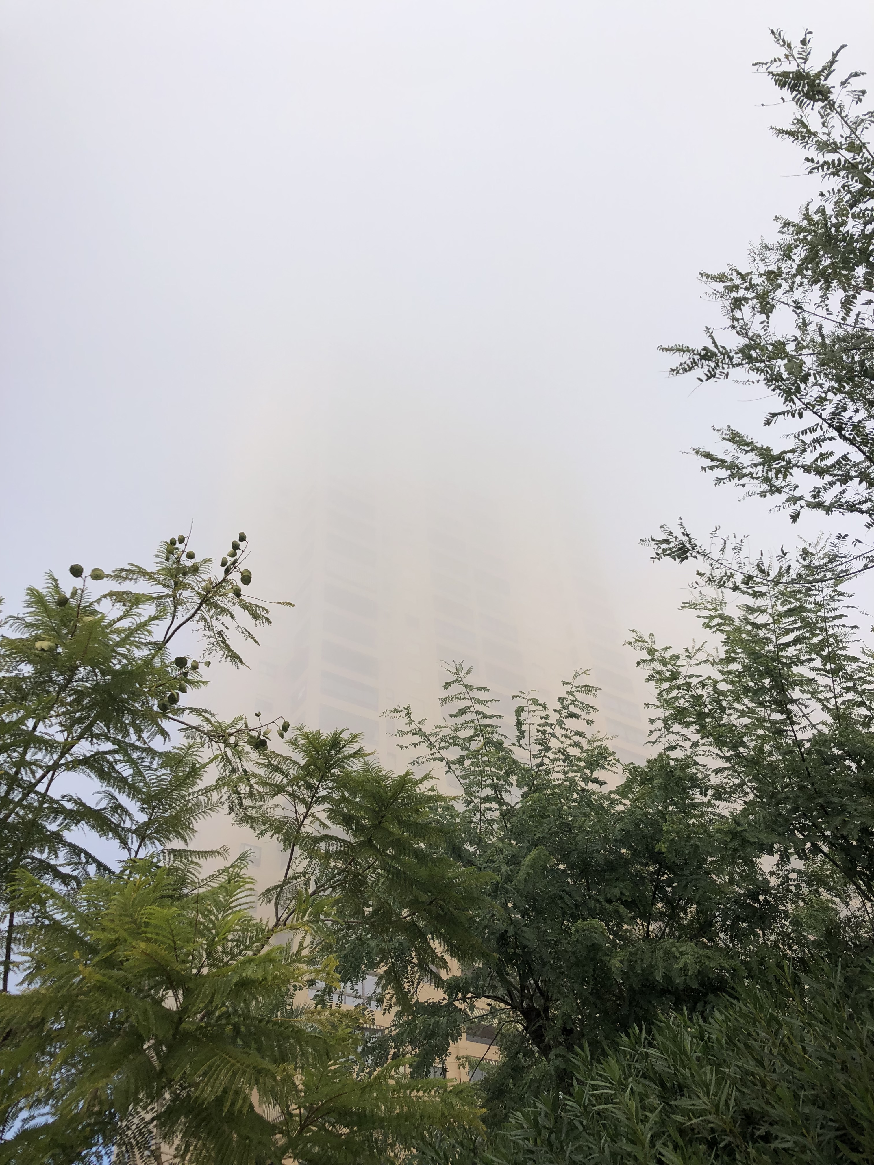  sea fret fog in benidorm weather in december building hidden