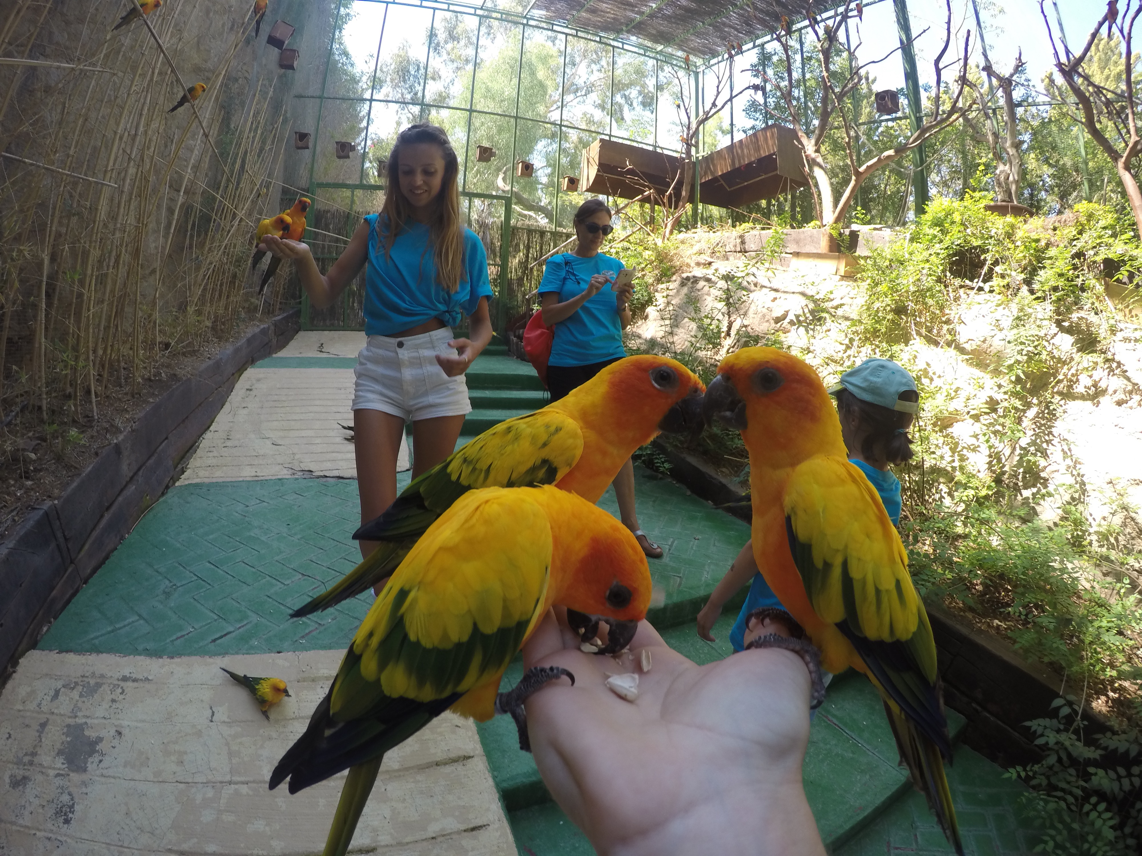 DCIM100GOPROGOPR0591.