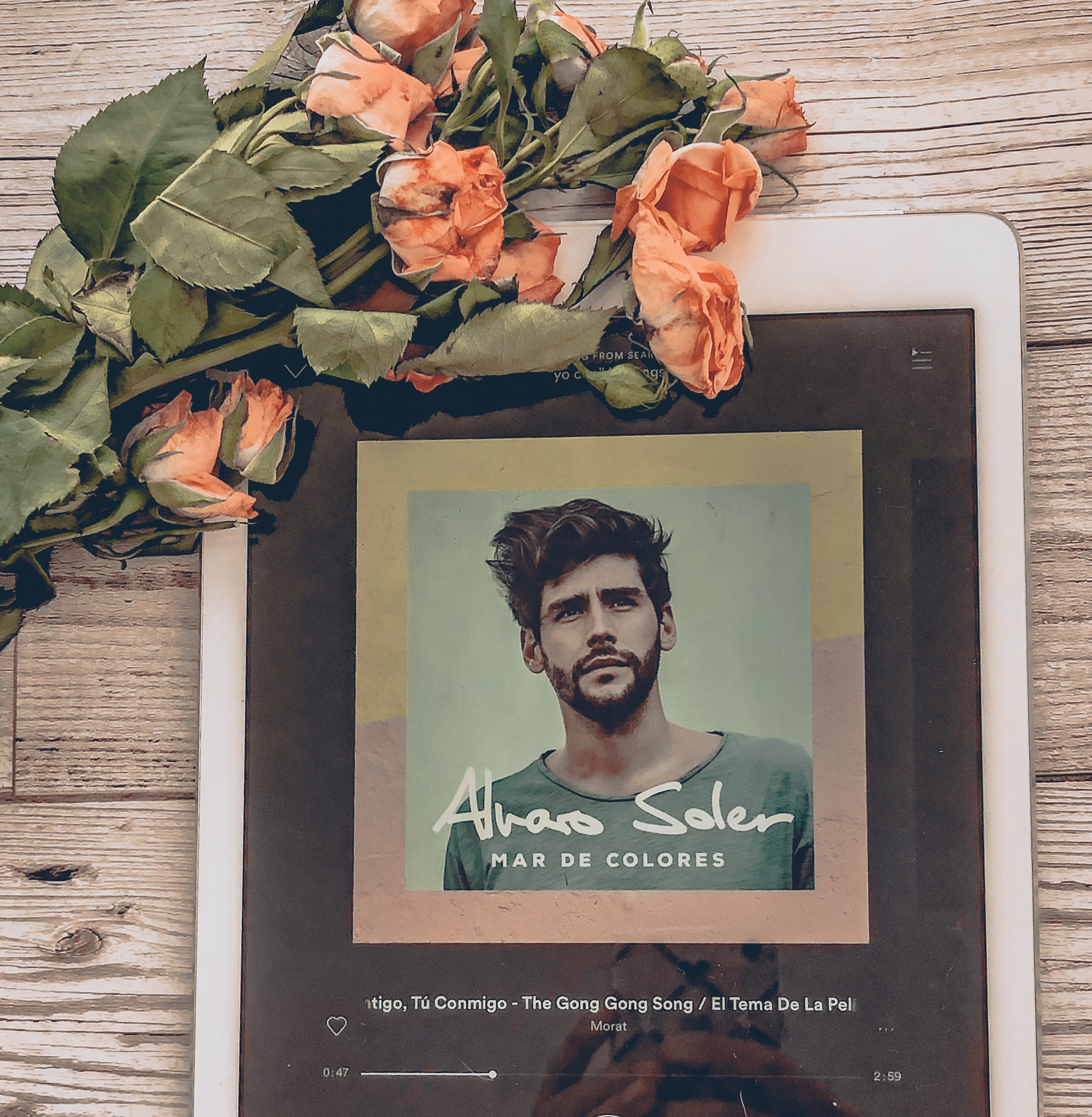teach yourself a second language flatlay spanish music flowers