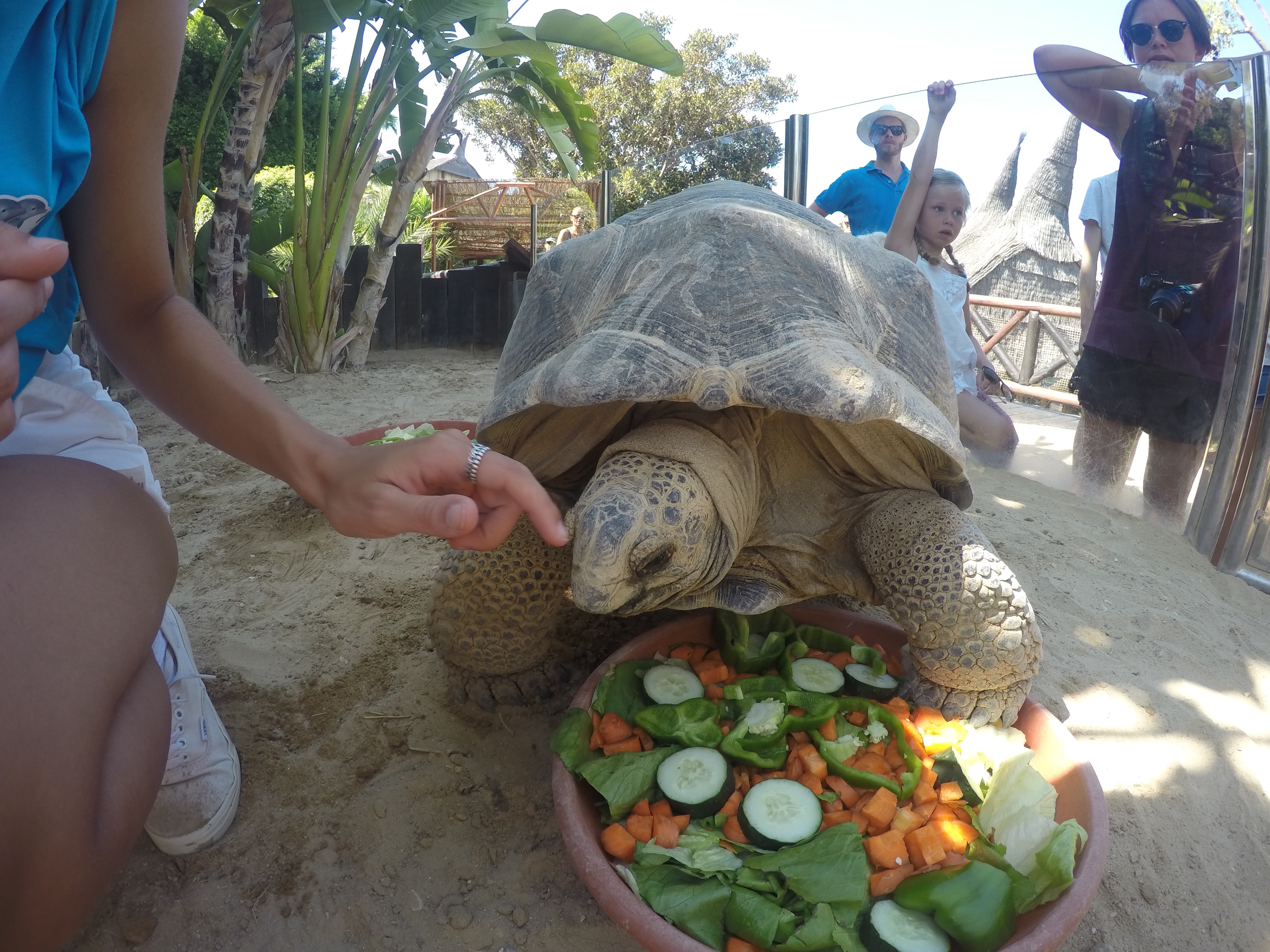 DCIM100GOPROGOPR0470.