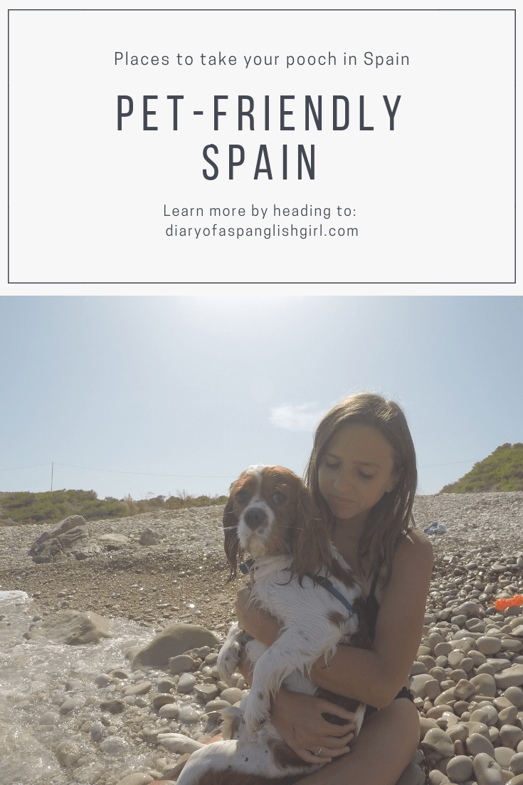 pinterest graphic girl holding puppy caption "places to take your pooch in spain pet friendly learn more by heading to diary of a spanglish girl