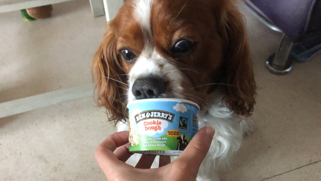 Rio eating my ben and Jerry’s 