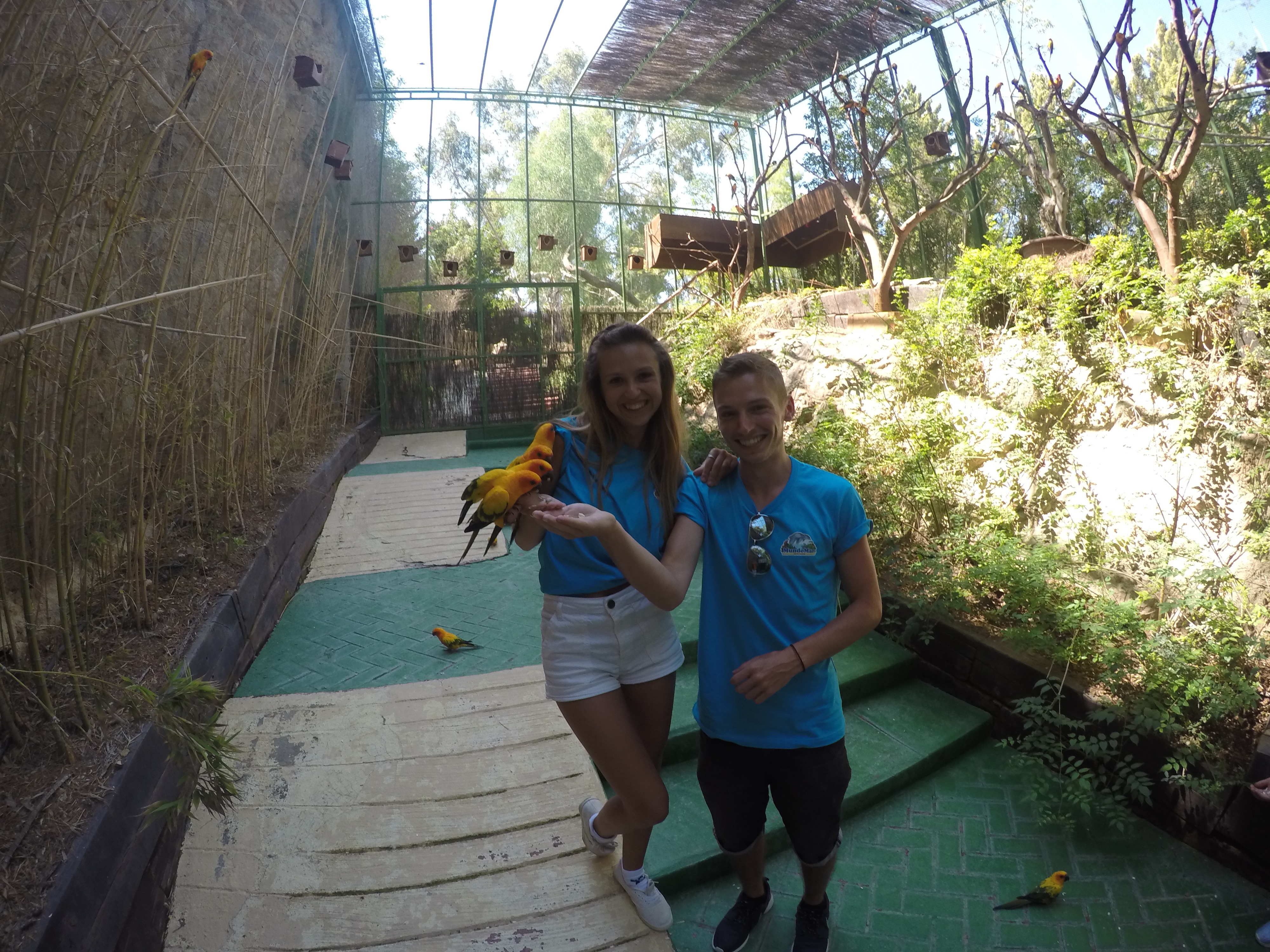 DCIM100GOPROGOPR0600.