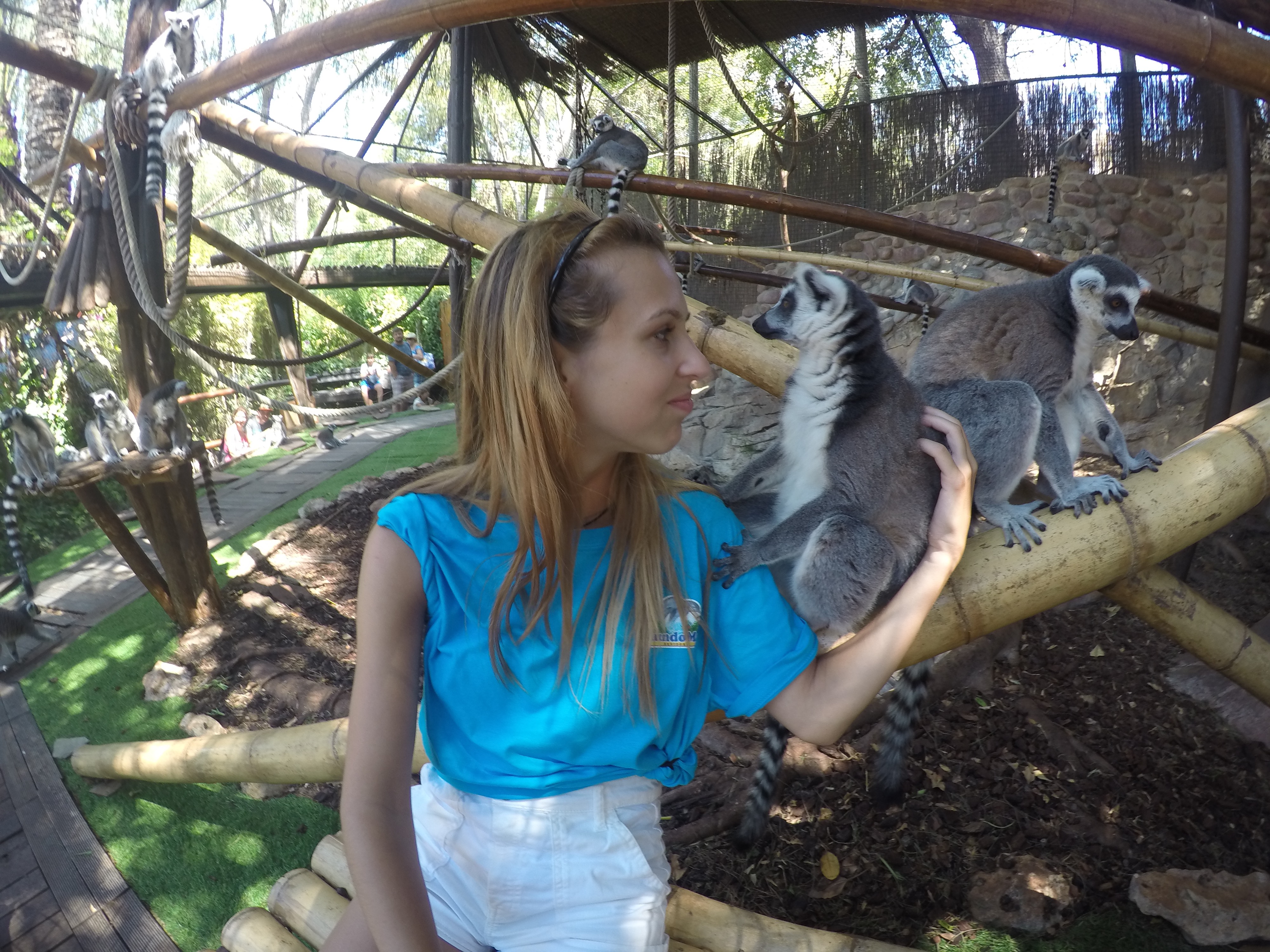 DCIM100GOPROGOPR0662.