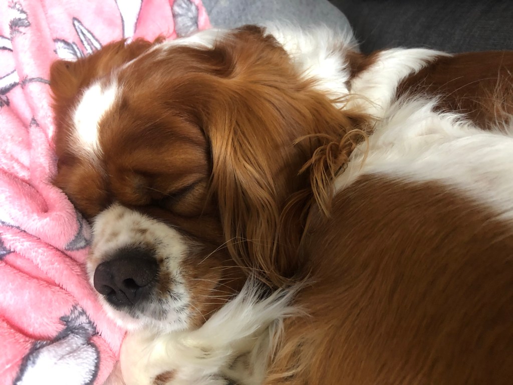 Sleeping in lockdown