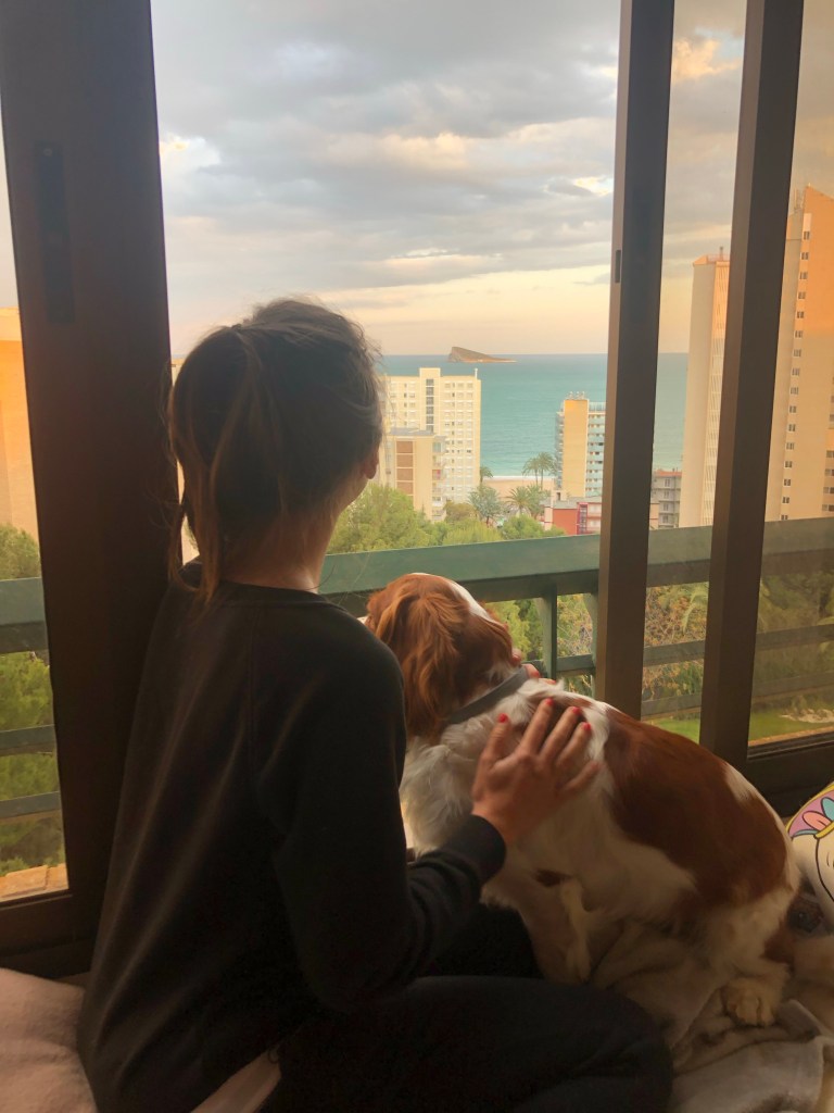 Watching sunset with Rio 