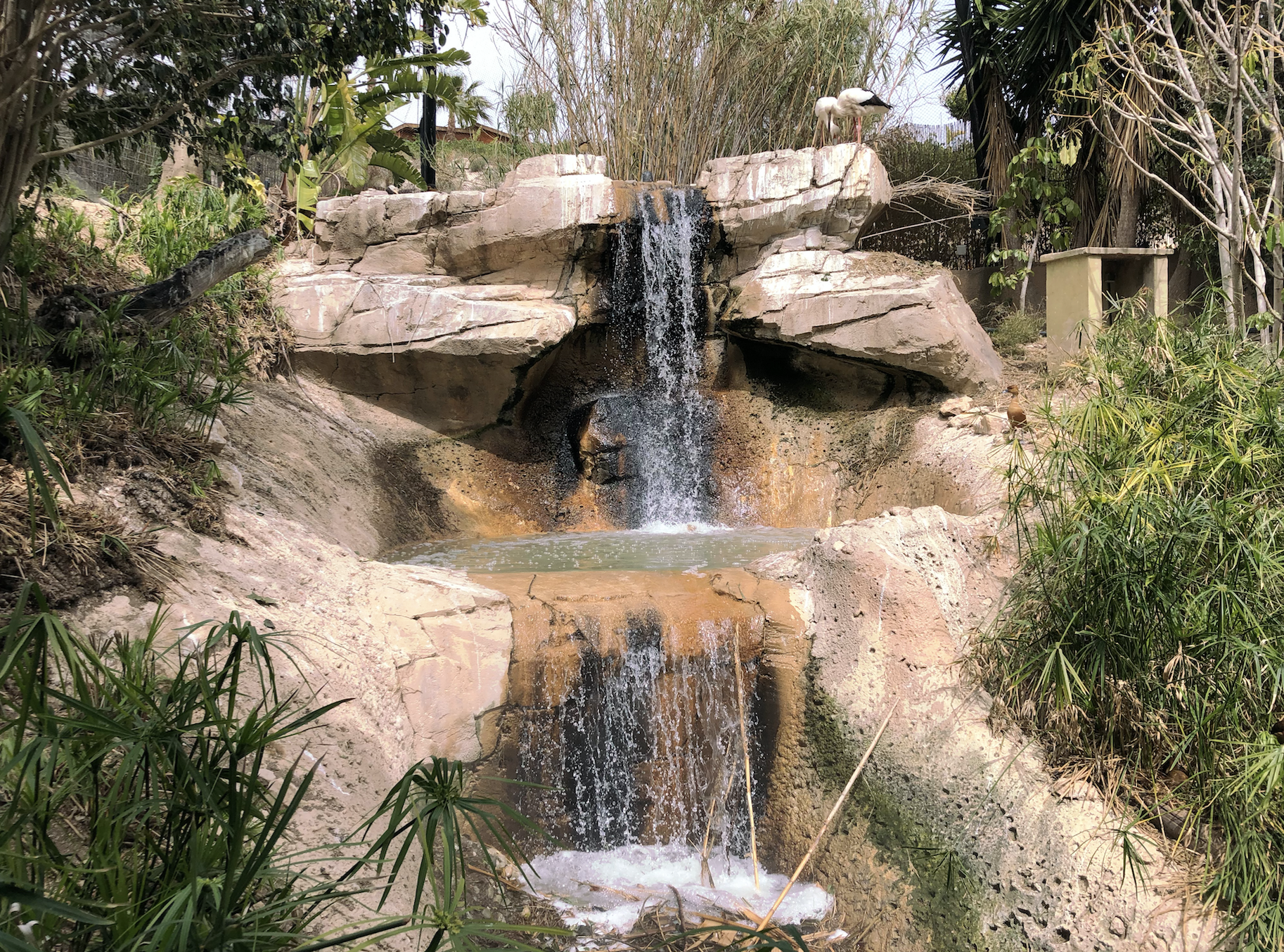 Screen Shot 2018-04-28 at 10.29.31