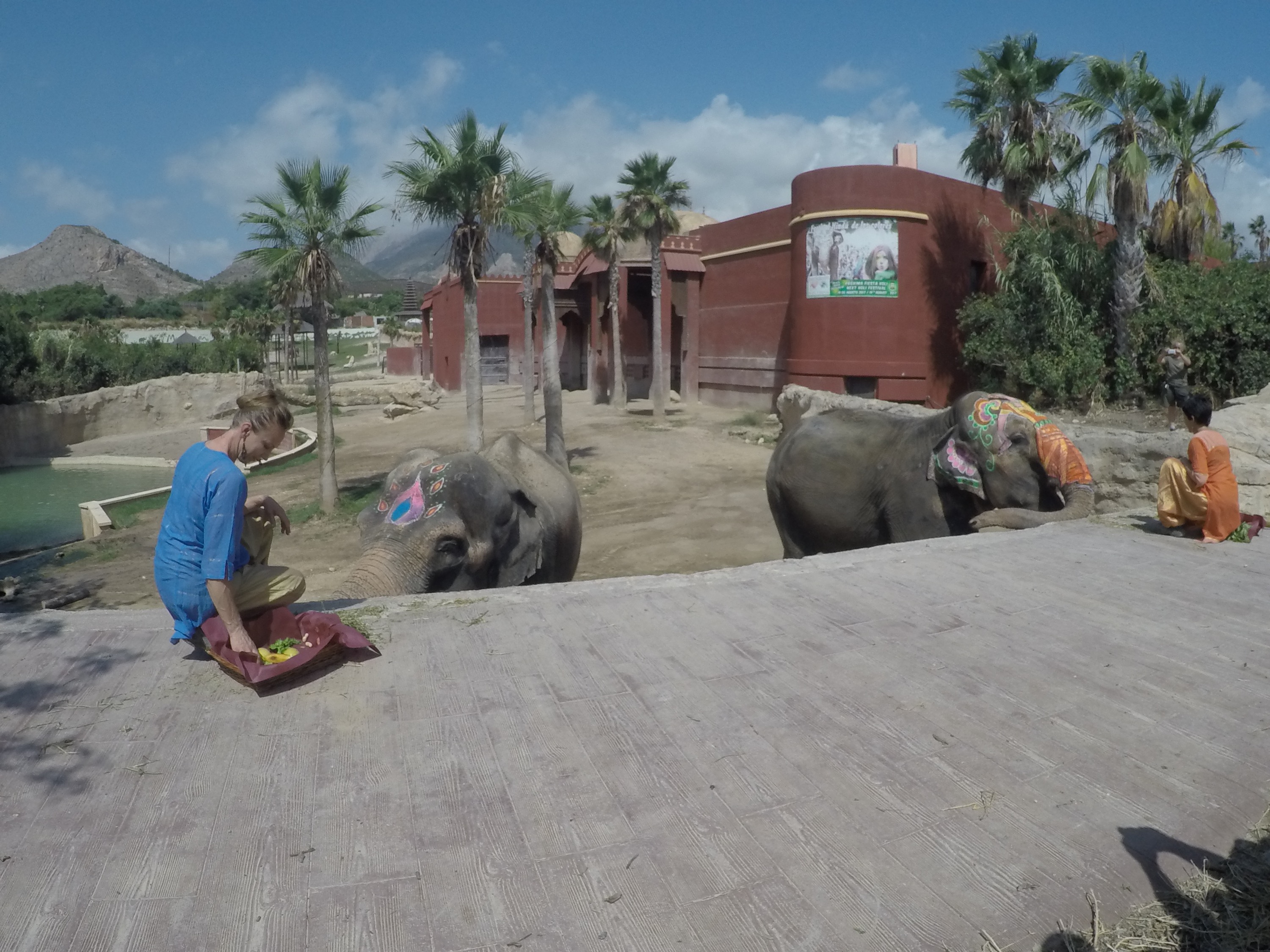 DCIM101GOPROGOPR2464.