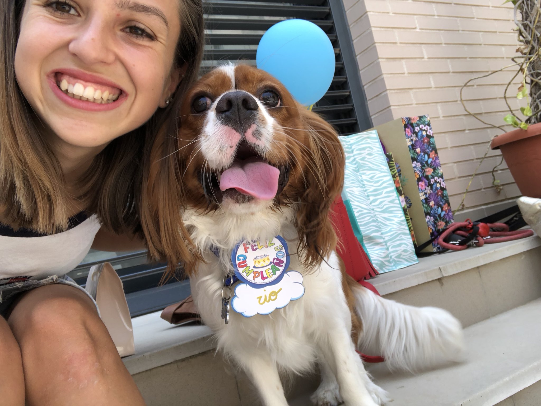 DeMzDVsXcAAdG2j.jpg-large