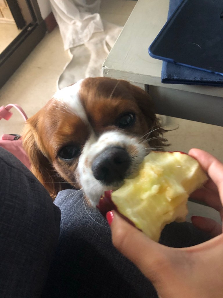 Eating healthily during social isolation 