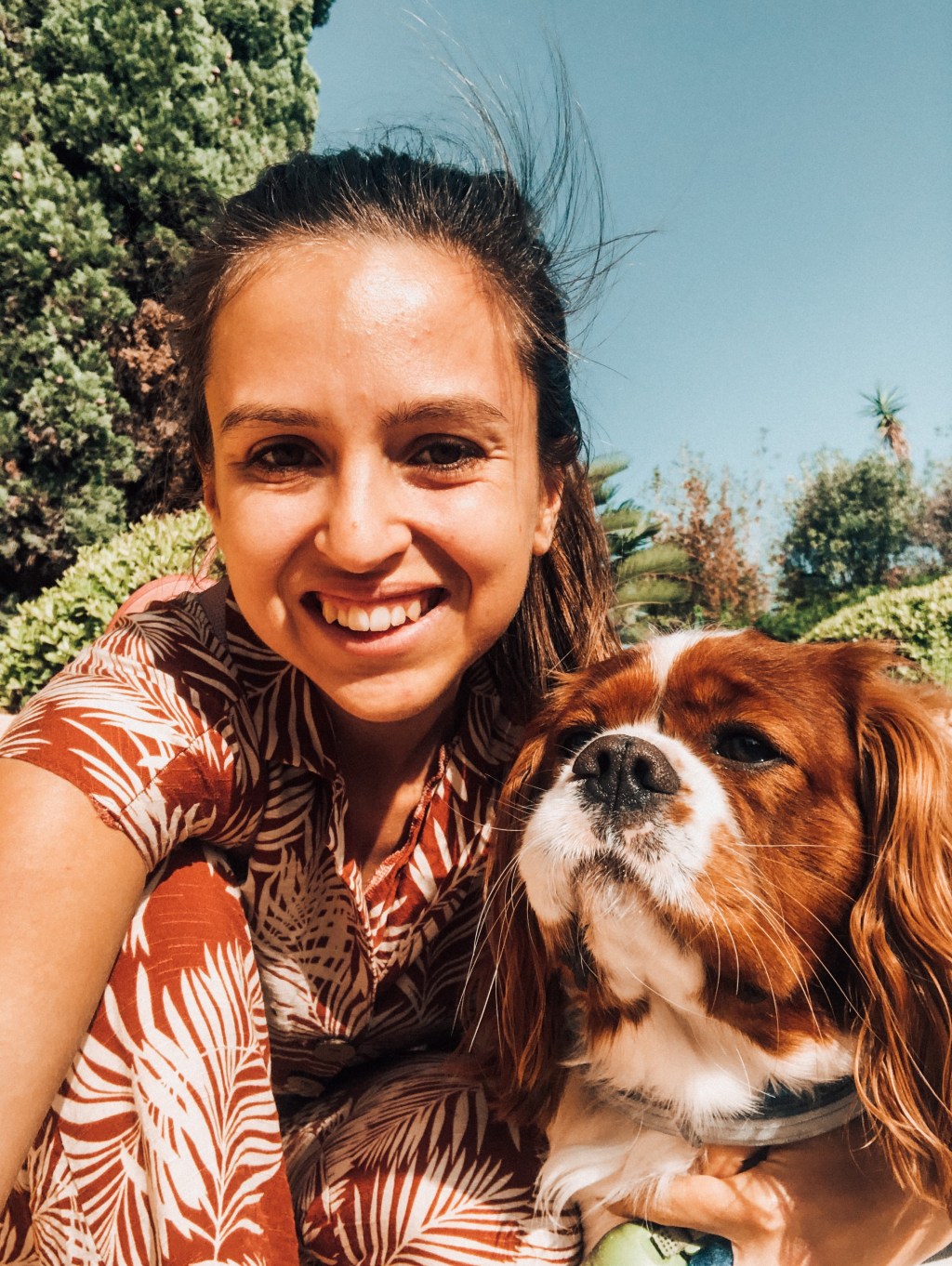 Isolation Diary: Day 35 in Spain&nbsp;Lockdown