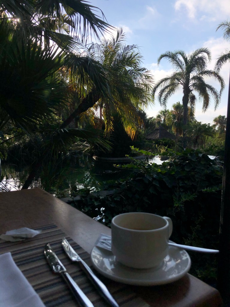 Coffee with a view Asia gardens 