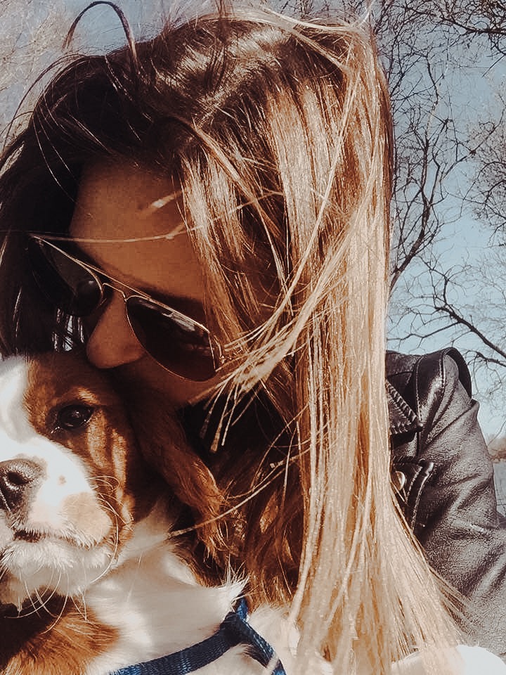 september 2018 my year in review cavalier kissing