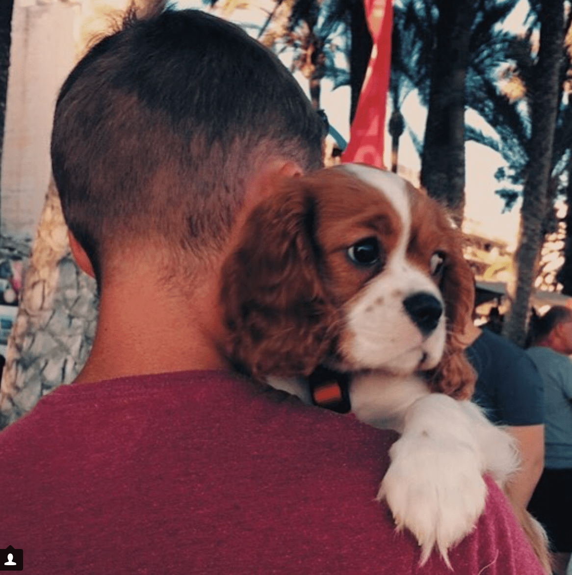 Screen Shot 2018-05-29 at 09.26.41.png