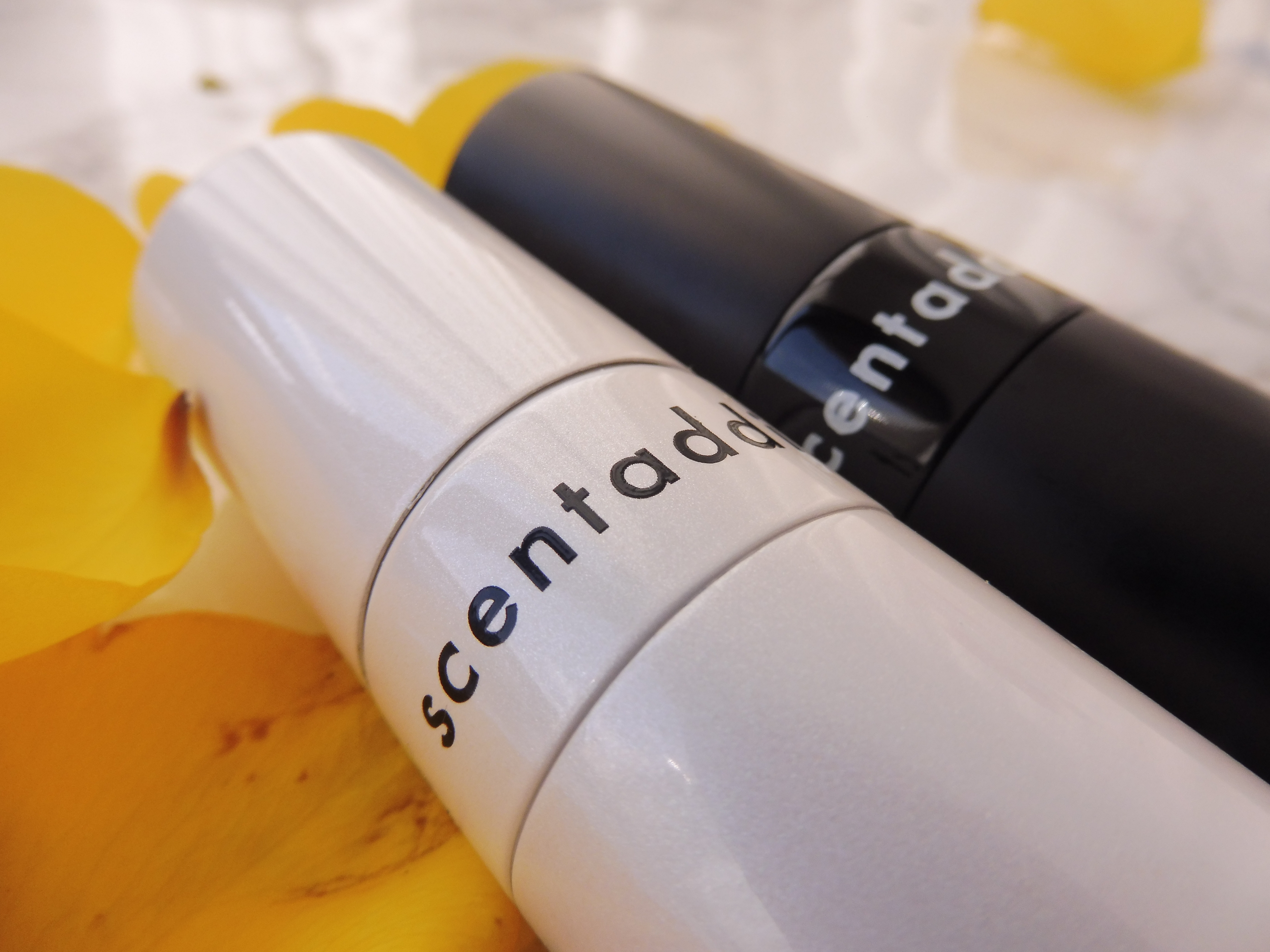 scent addict hq review valentine gift subscription perfume